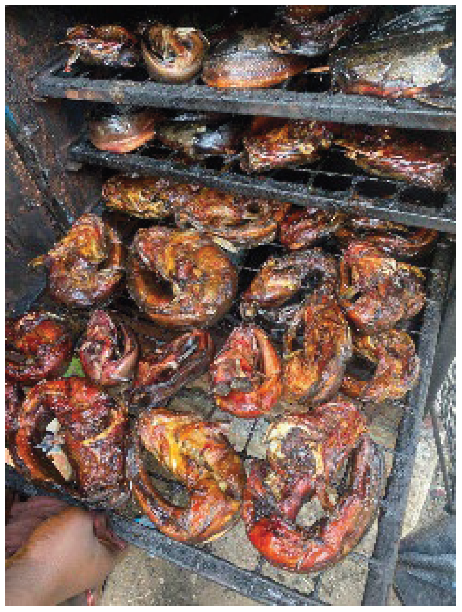 Preprints 178608 g006