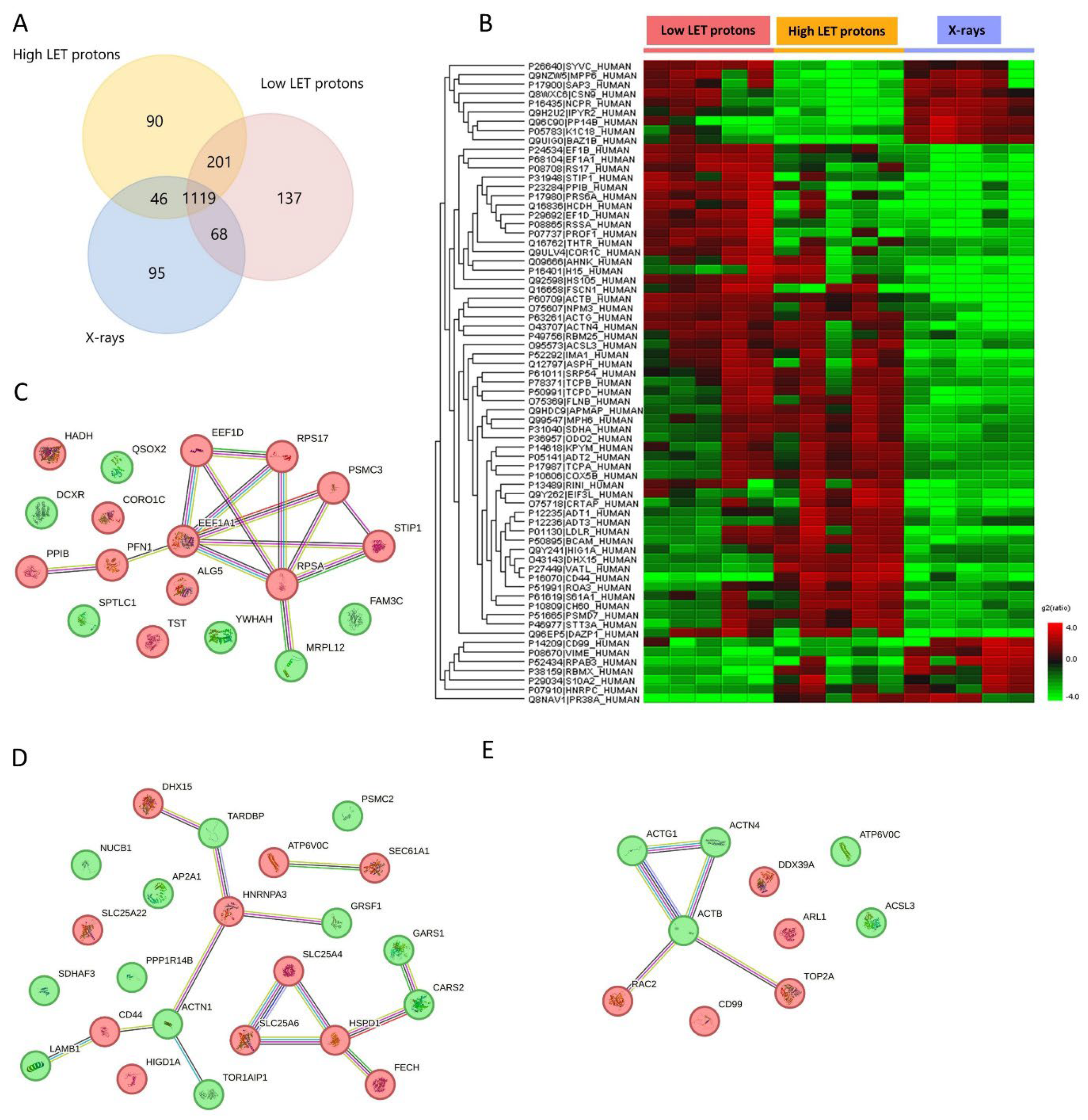 Preprints 88137 g002