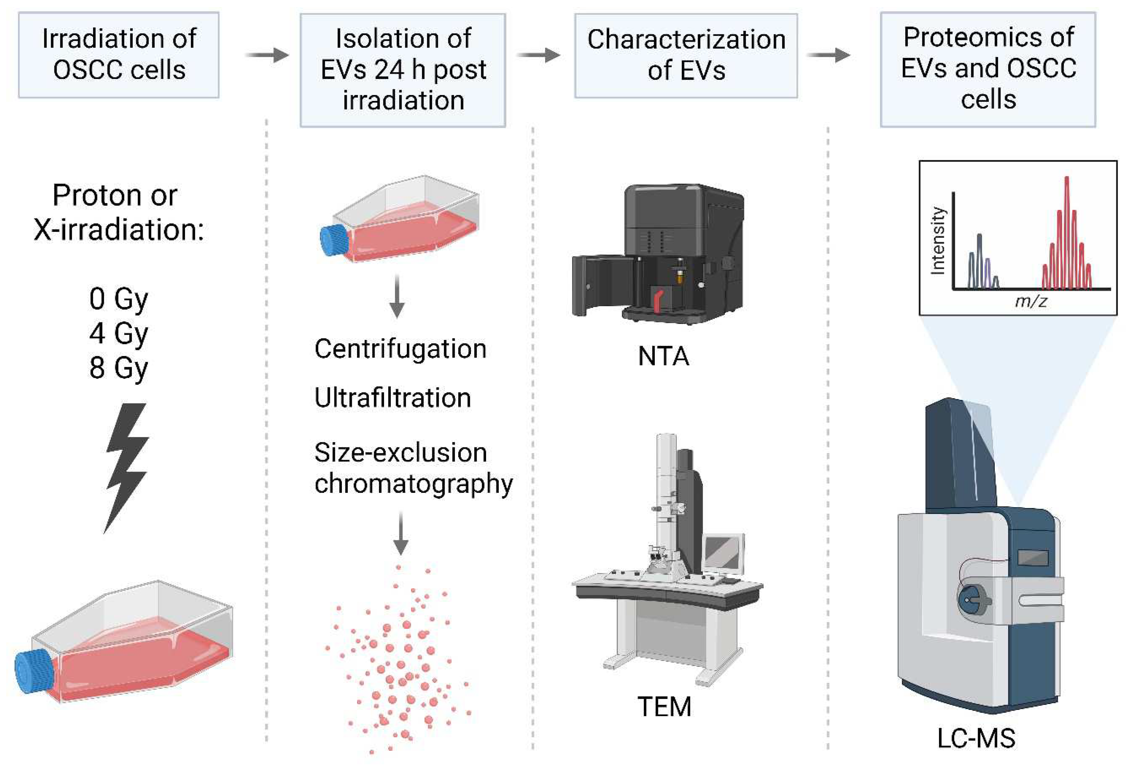 Preprints 88137 g003