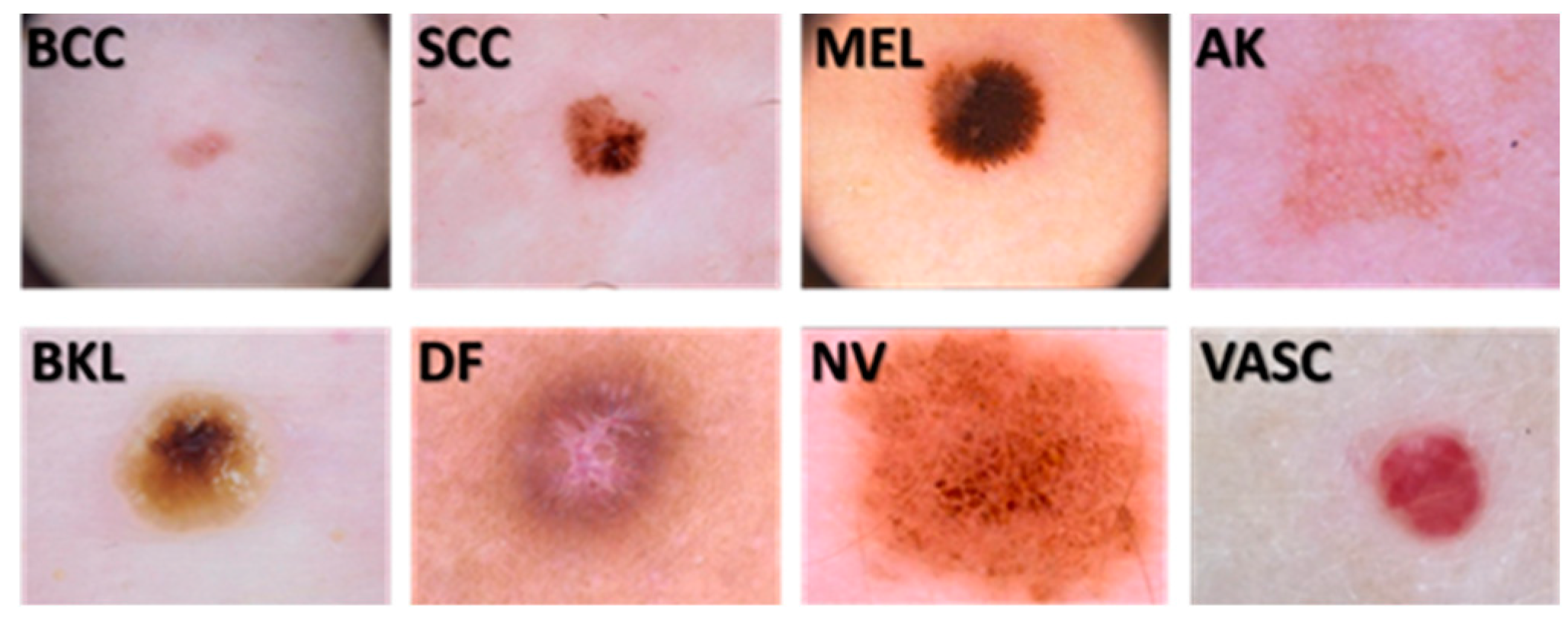 Preprints 157659 g001