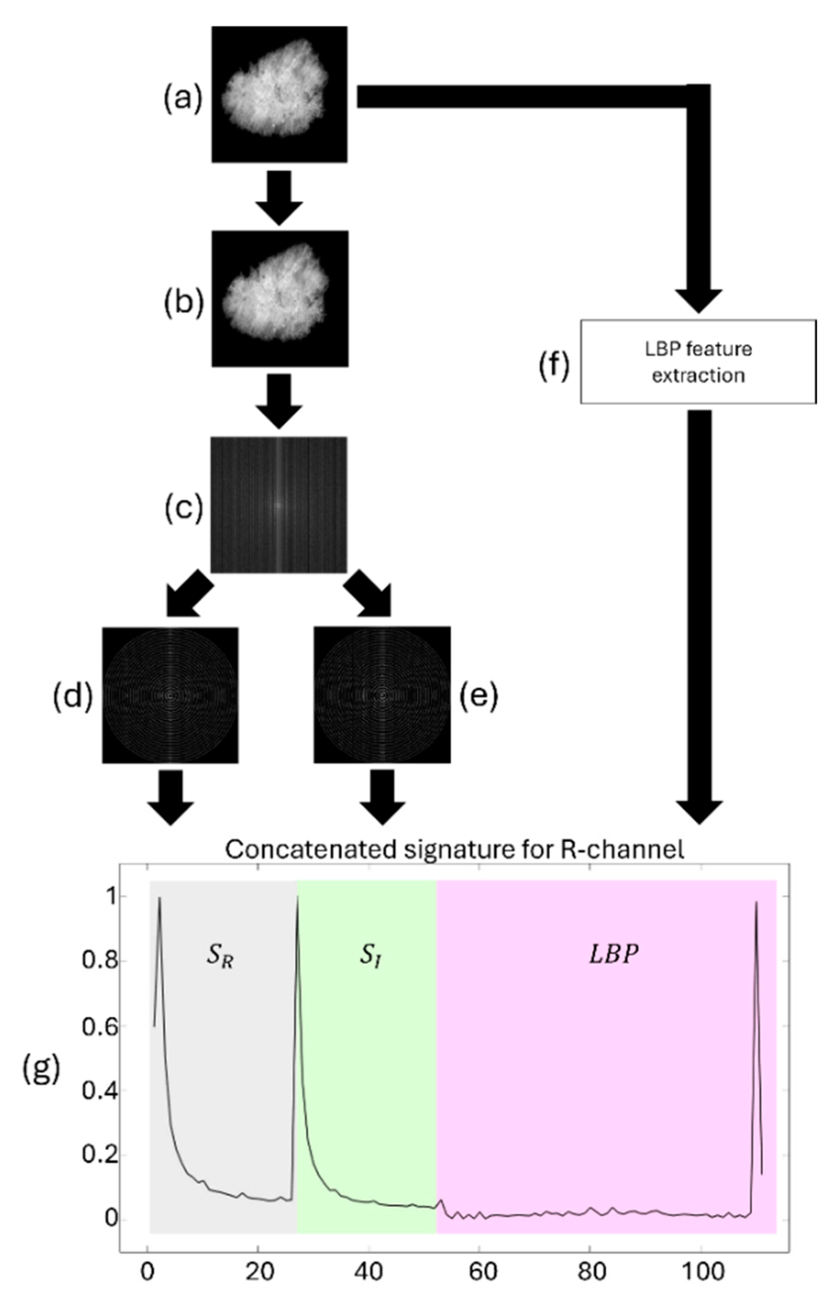 Preprints 157659 g005