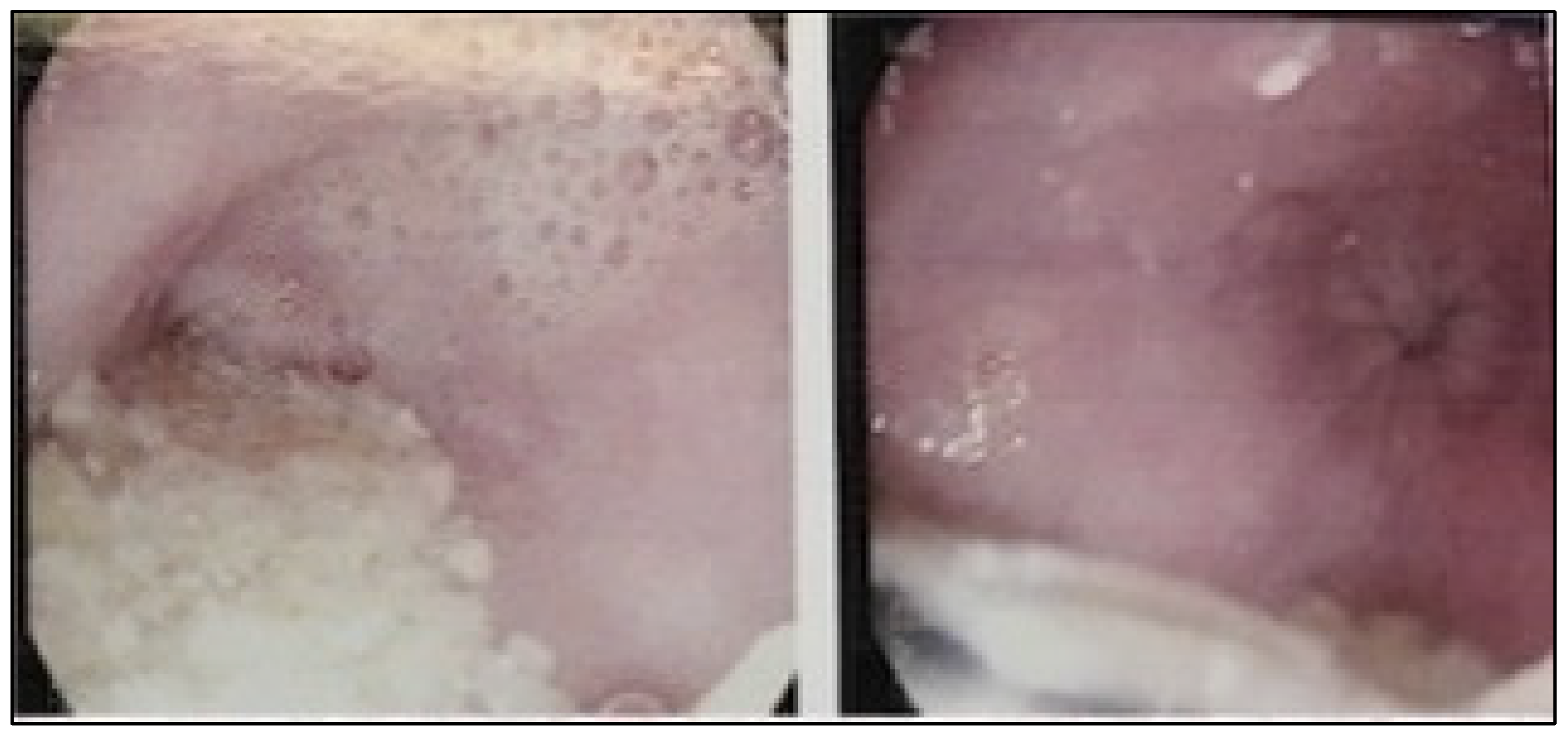 Preprints 73762 g001