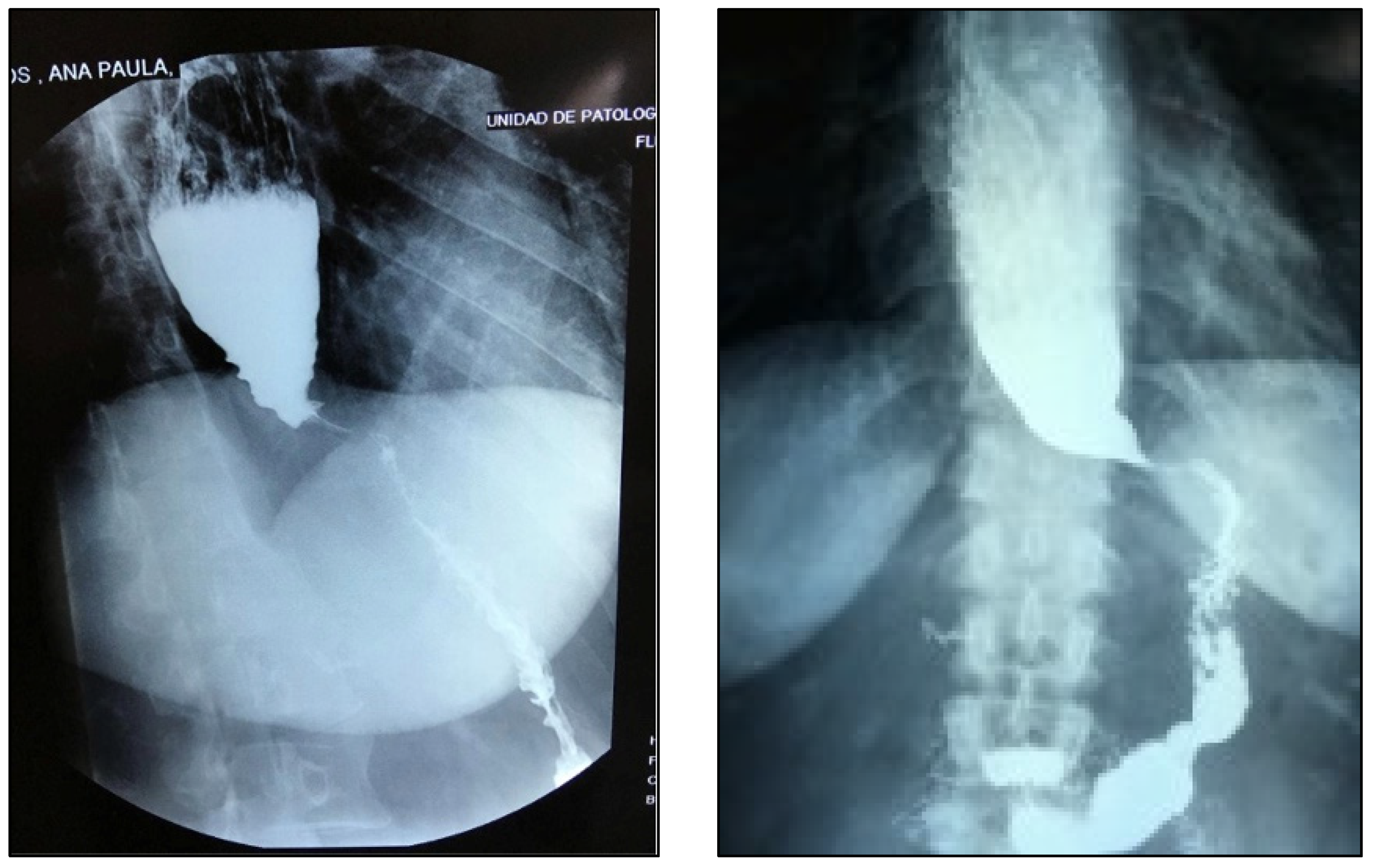 Preprints 73762 g003