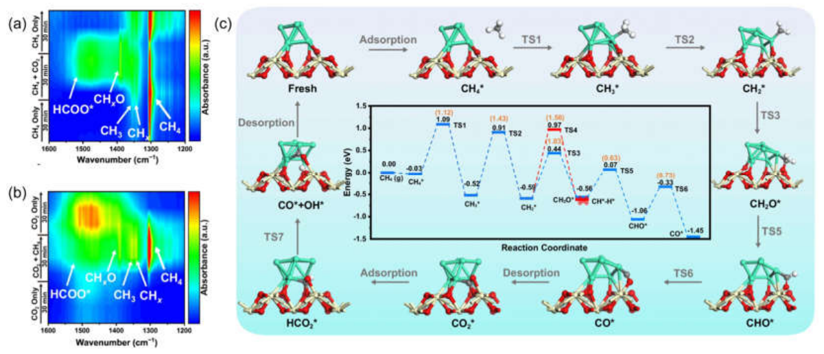 Preprints 235006 g002