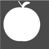 Preprints 221733 i003 Preprints 221733 i003