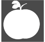 Preprints 221733 i006 Preprints 221733 i006