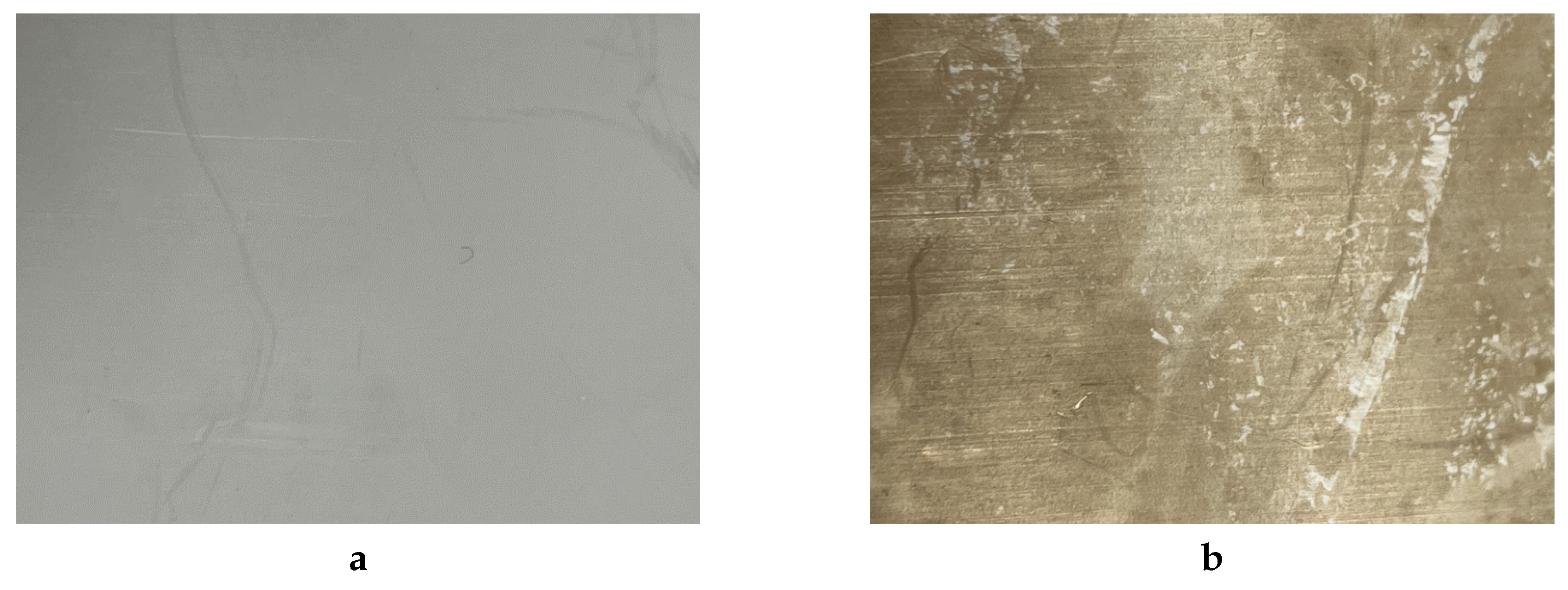 Preprints 146249 g001