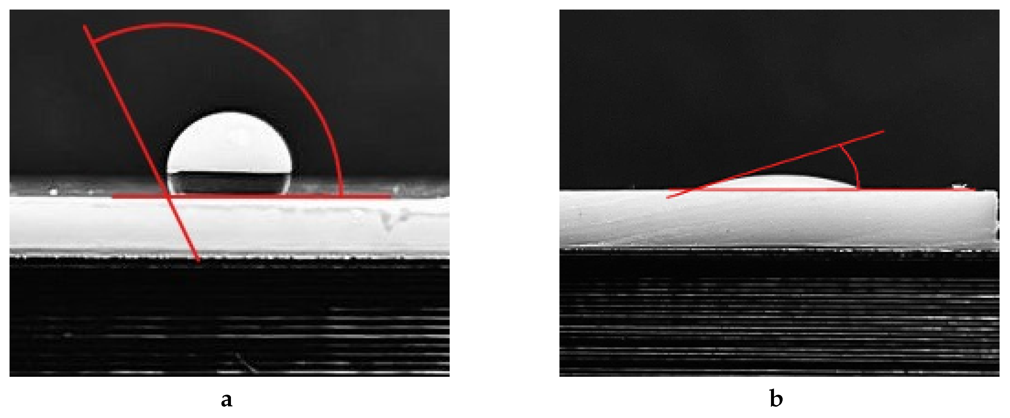 Preprints 146249 g007