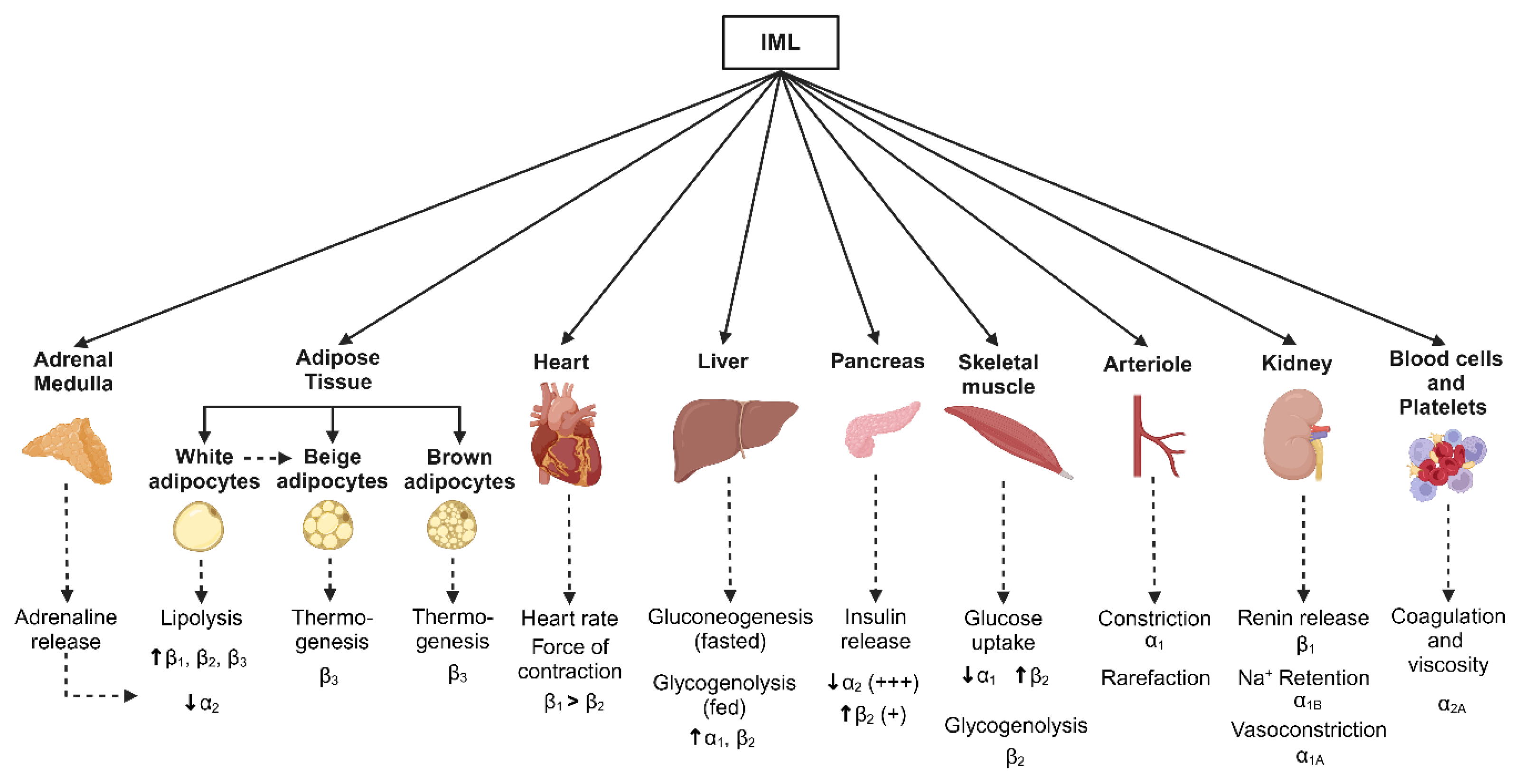 Preprints 152947 g003