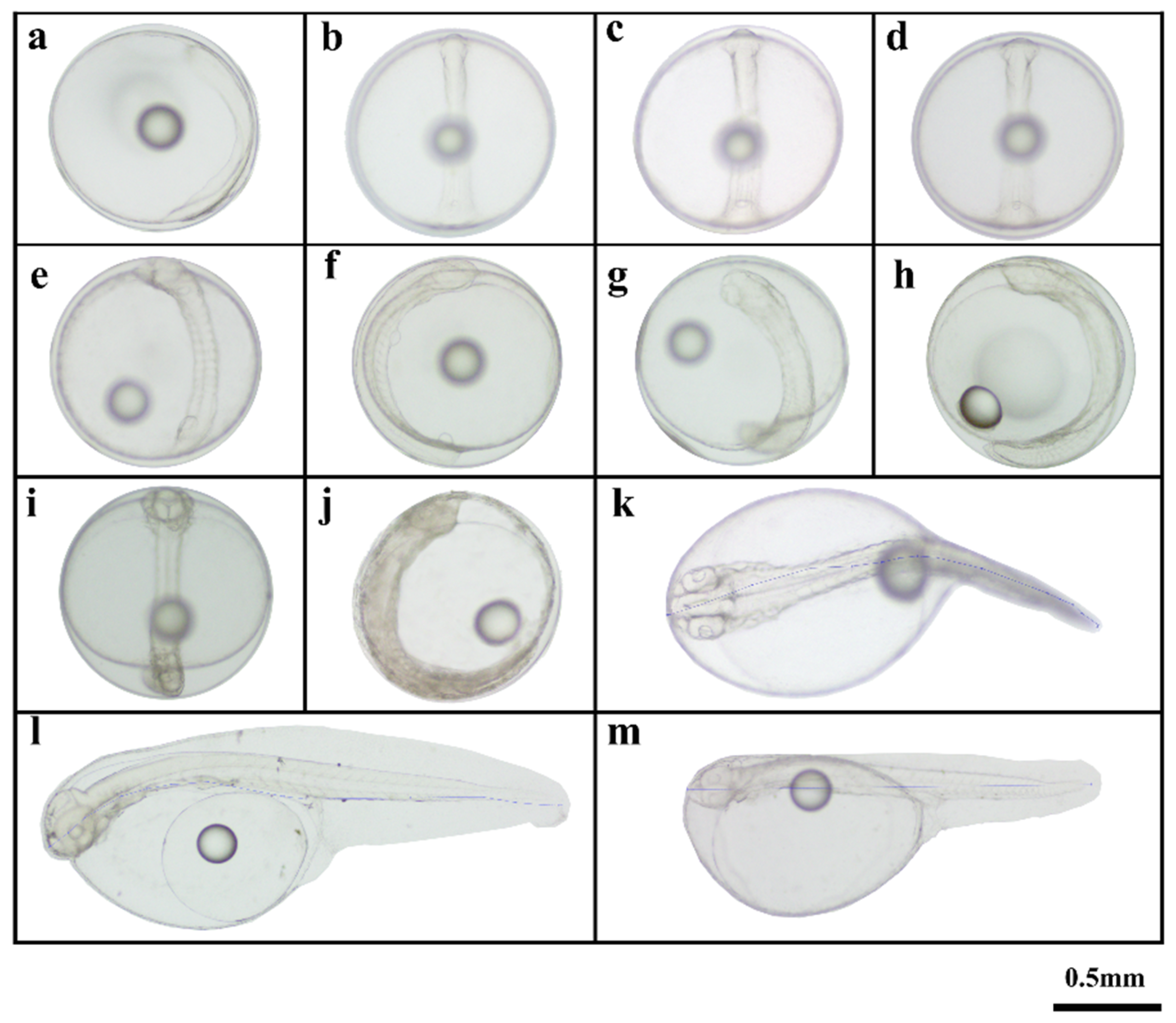 Preprints 174700 g002
