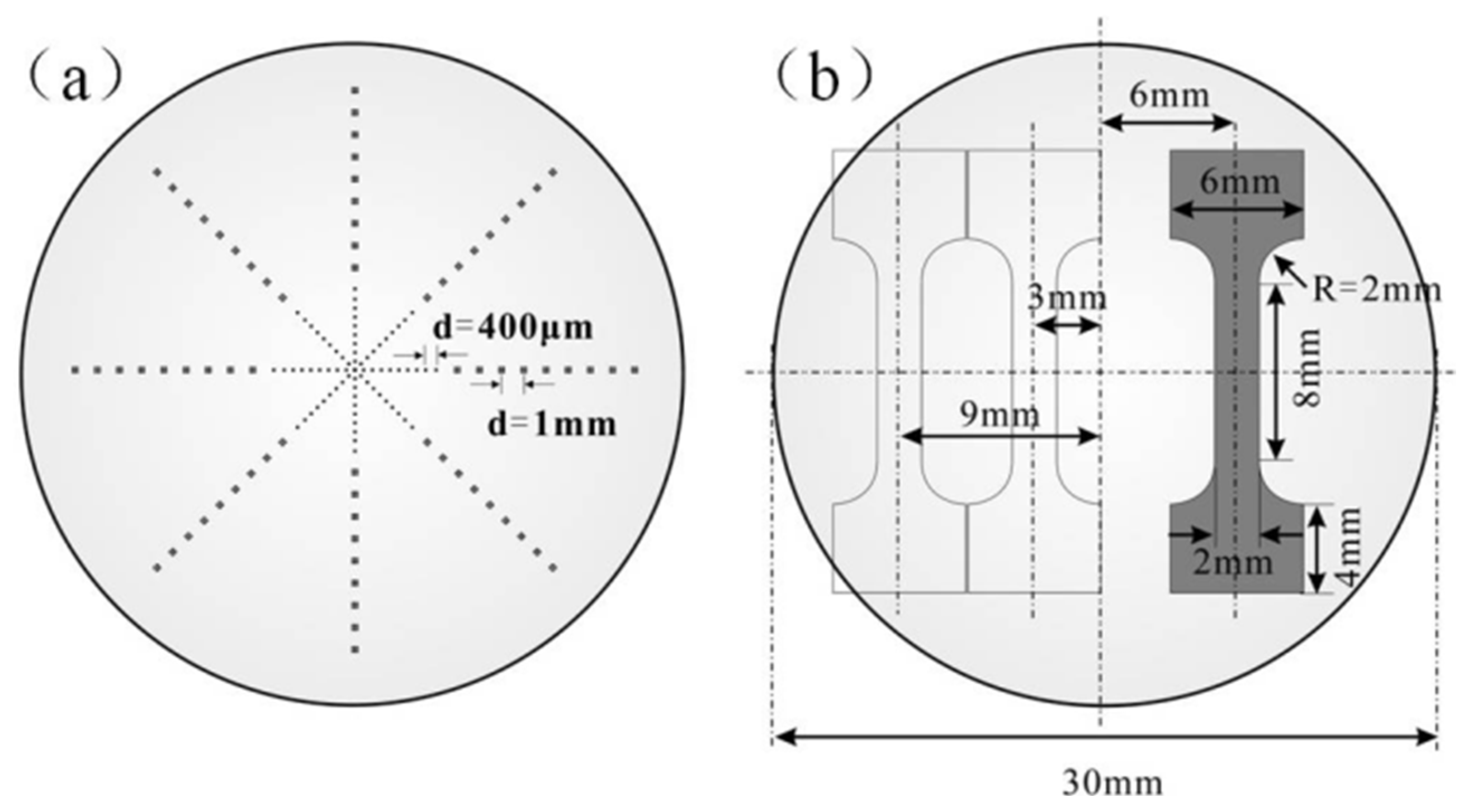Preprints 156976 g001