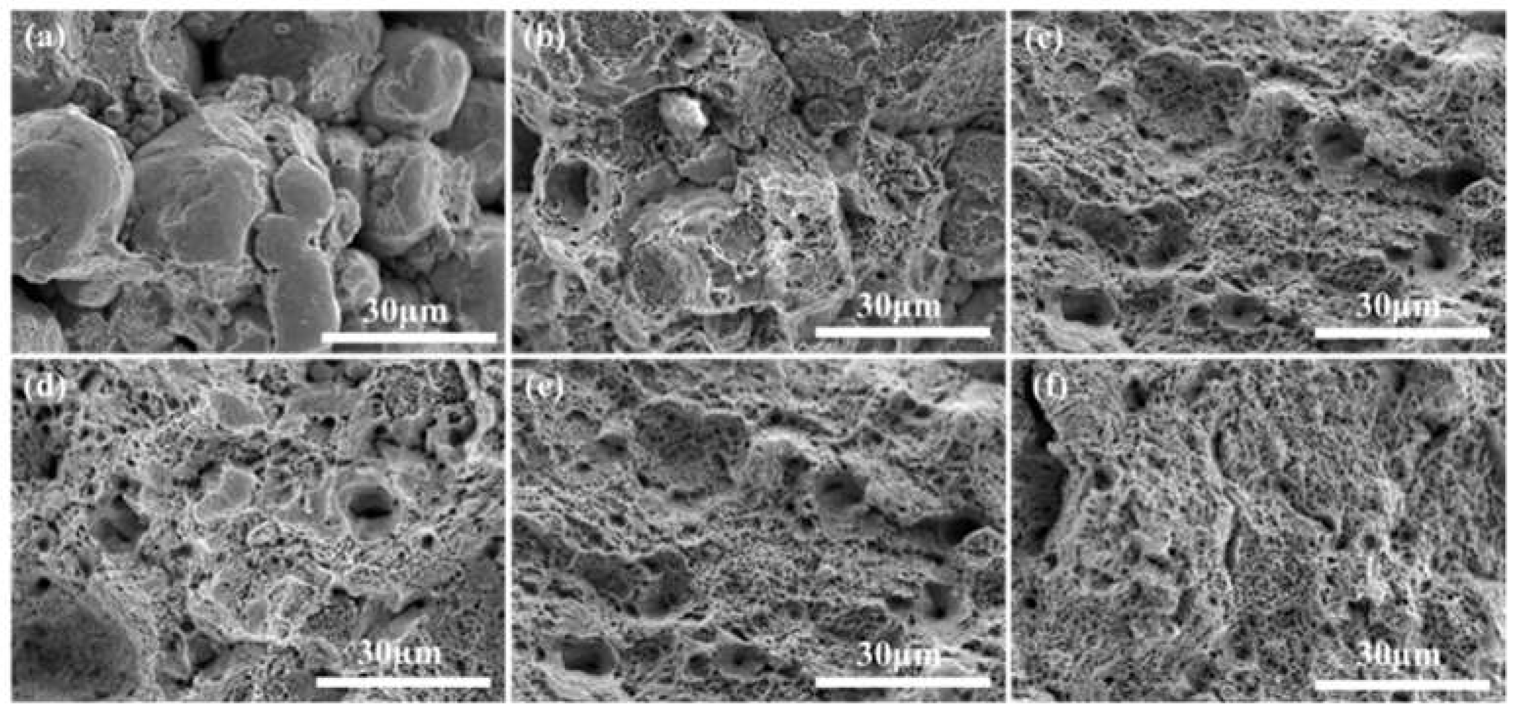 Preprints 156976 g013