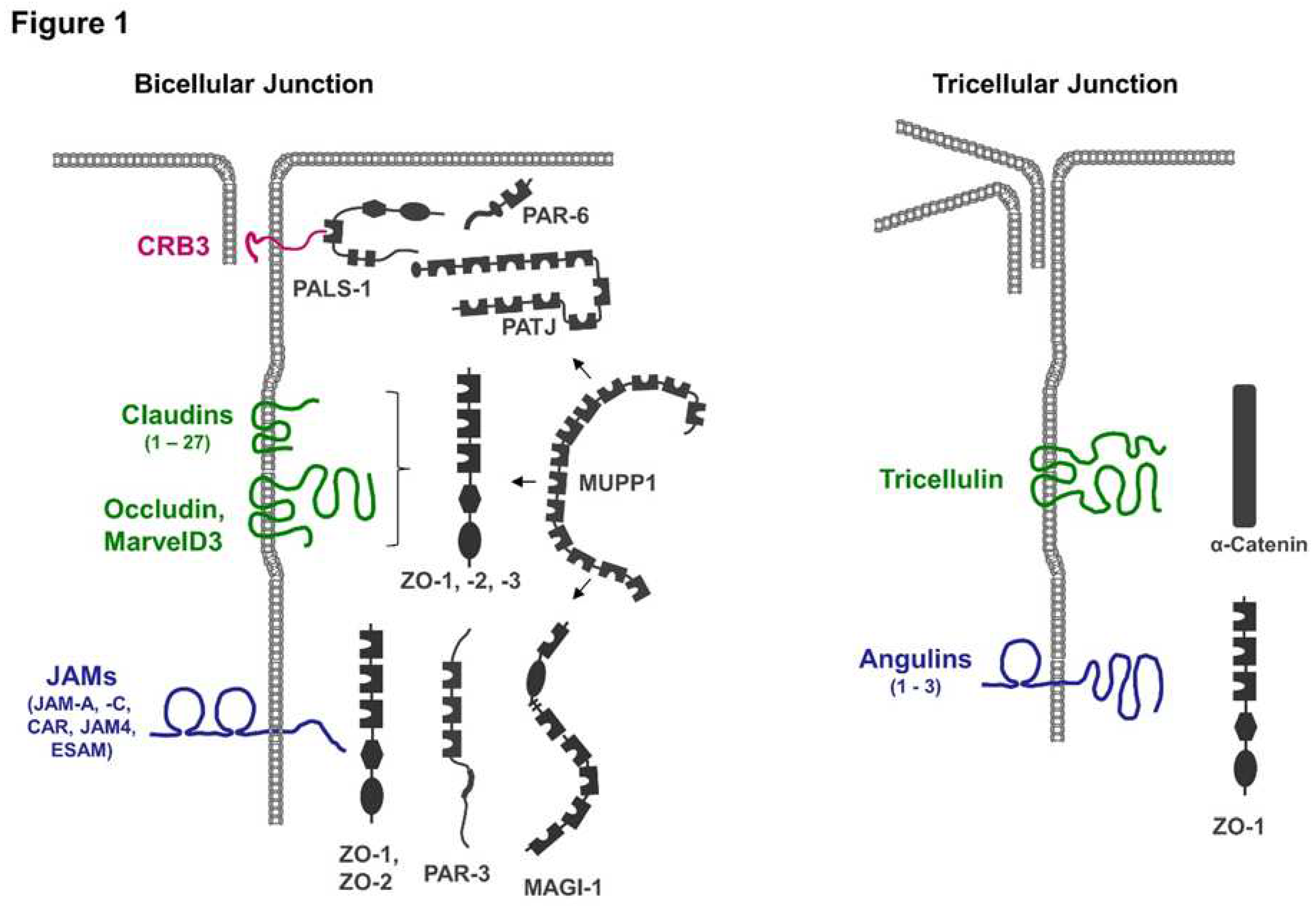 Preprints 90189 g001