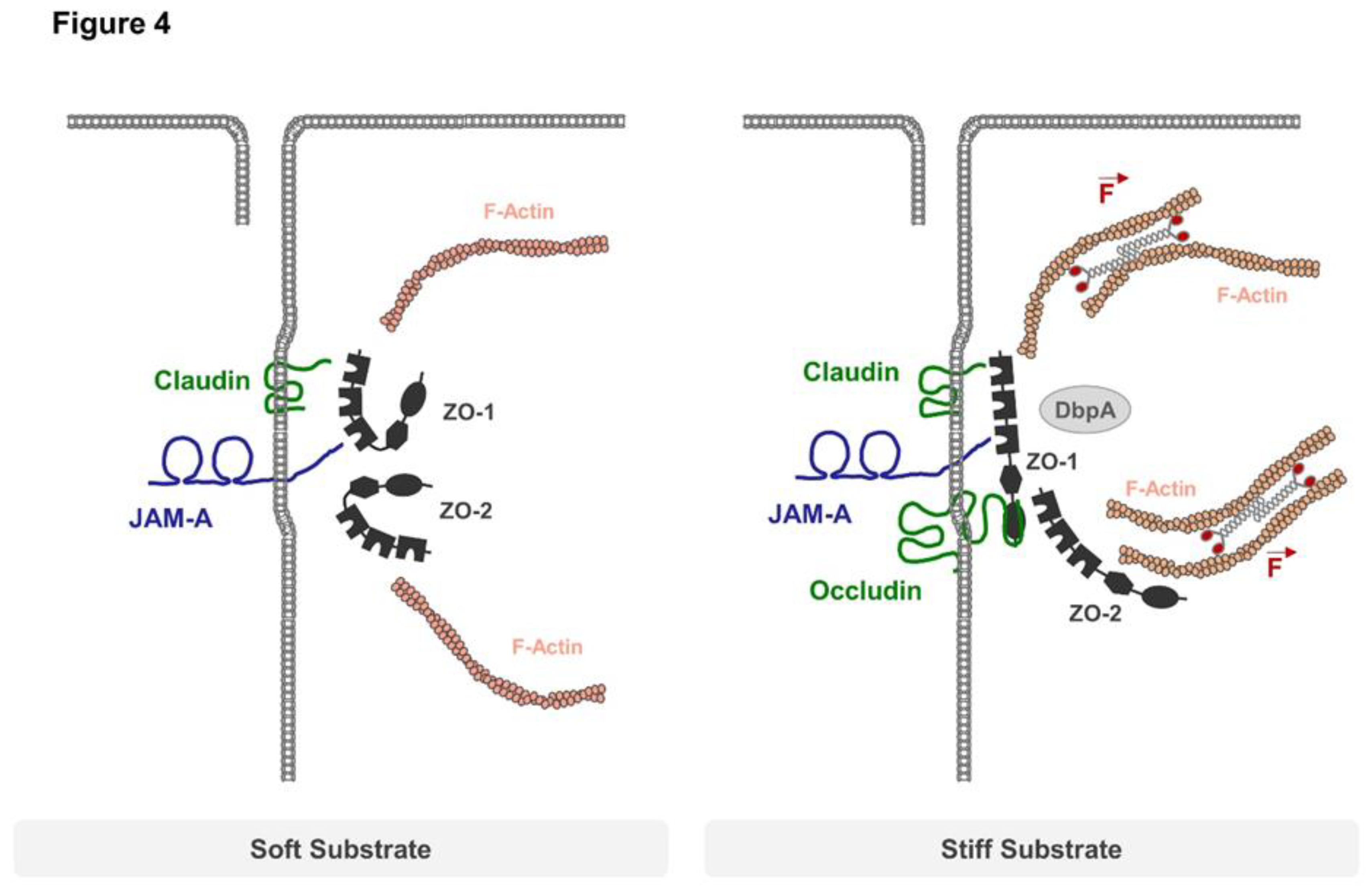Preprints 90189 g004