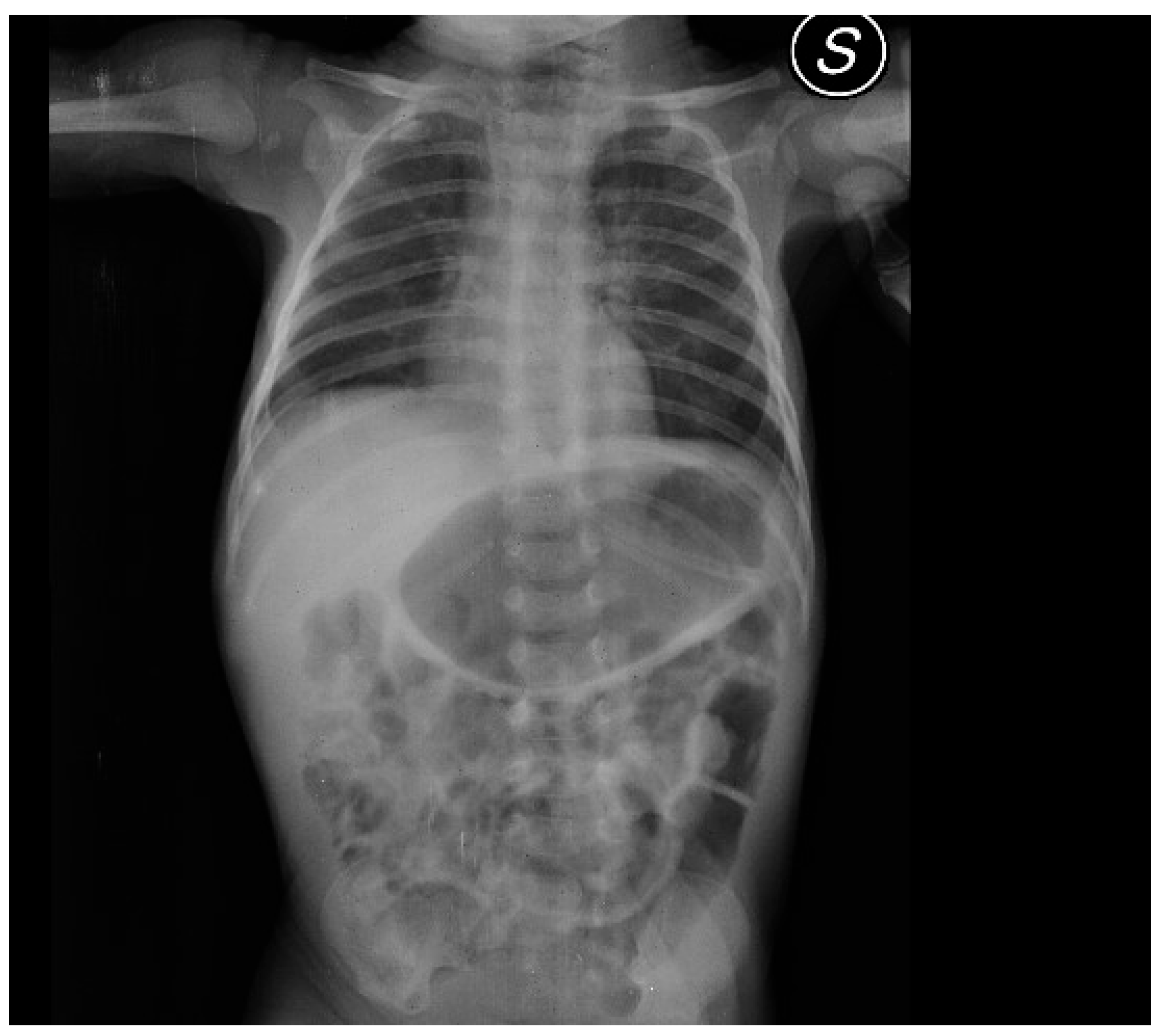 Preprints 181123 g001