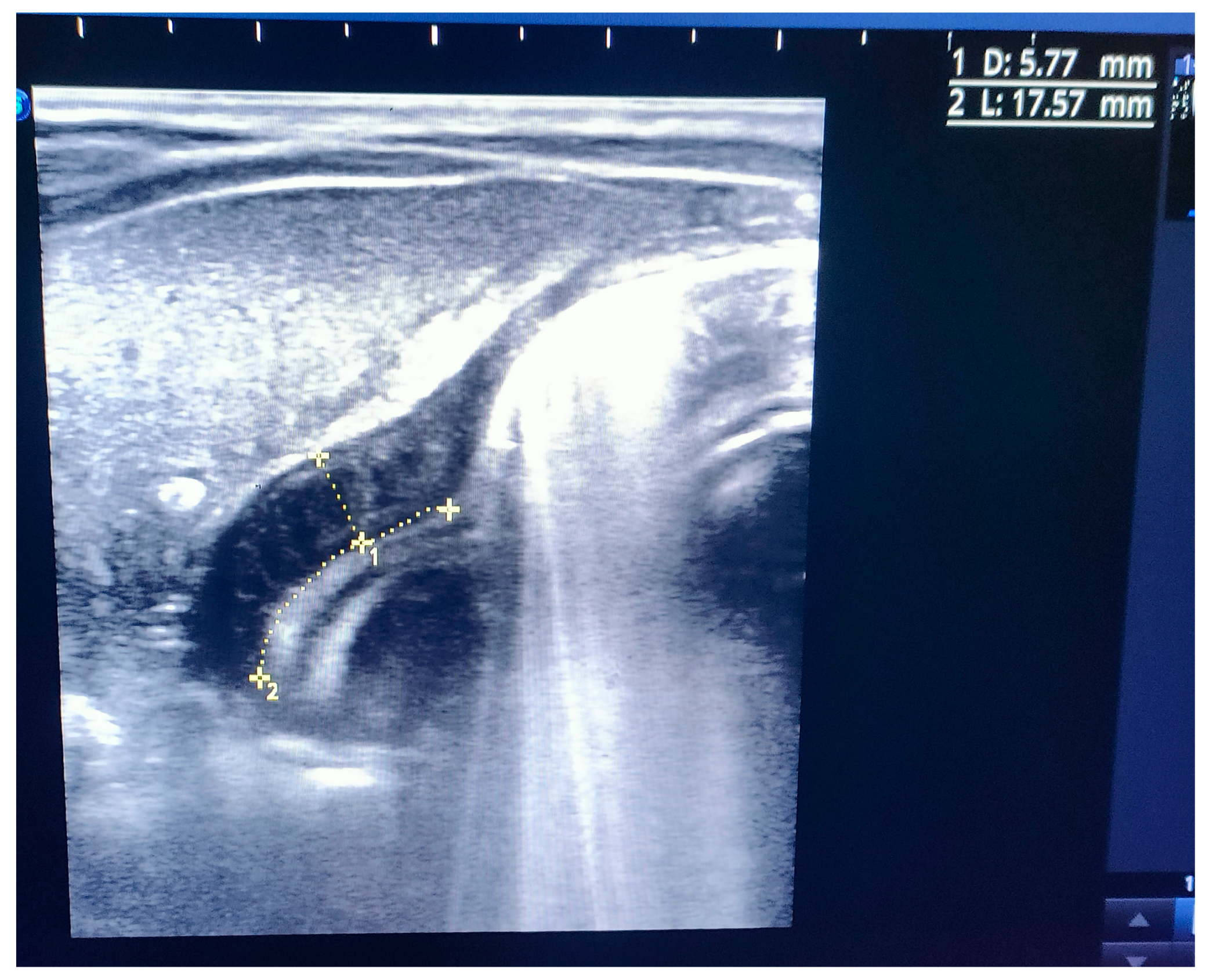 Preprints 181123 g002