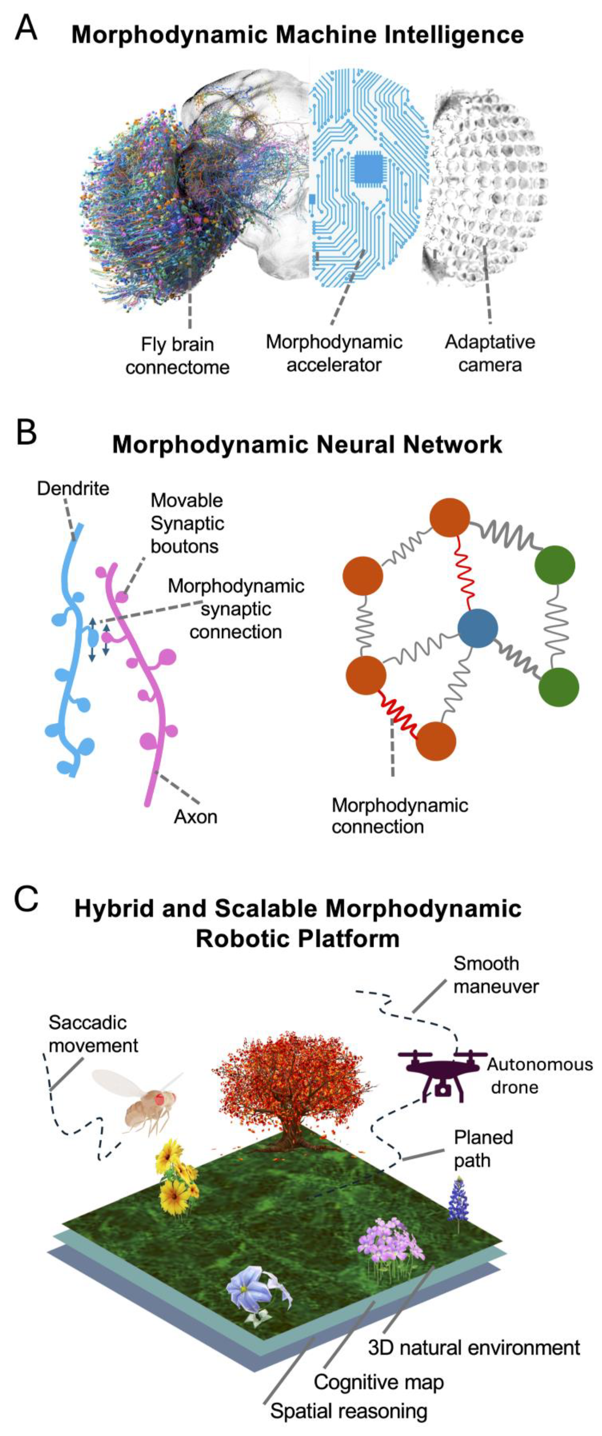 Preprints 117016 g012