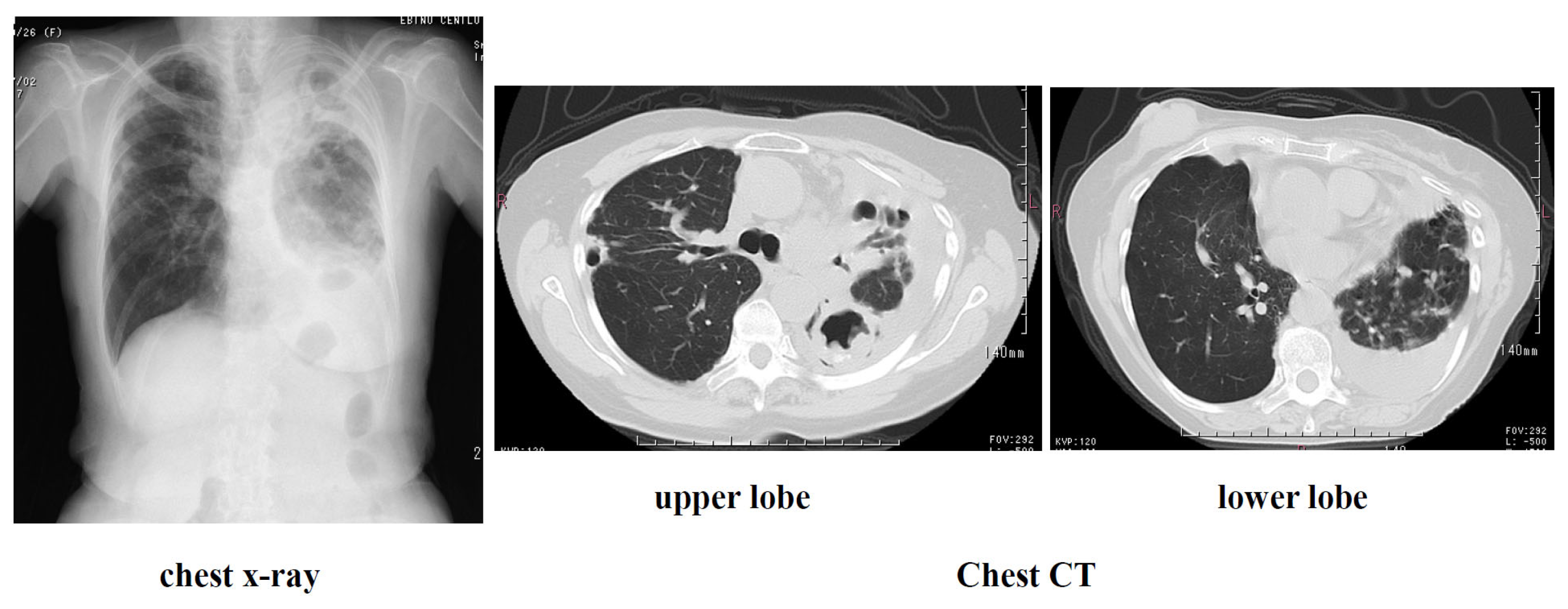Preprints 189077 g004