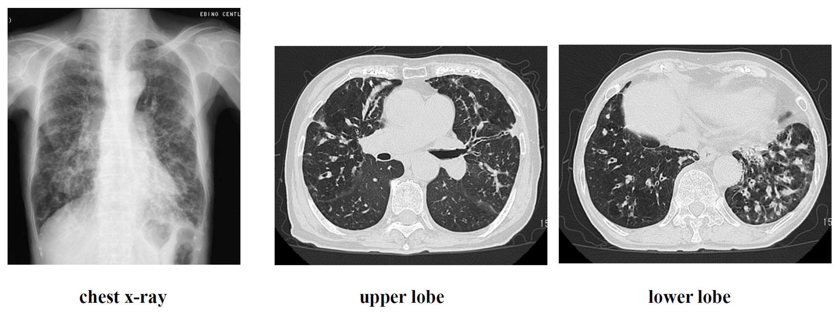 Preprints 189077 g008