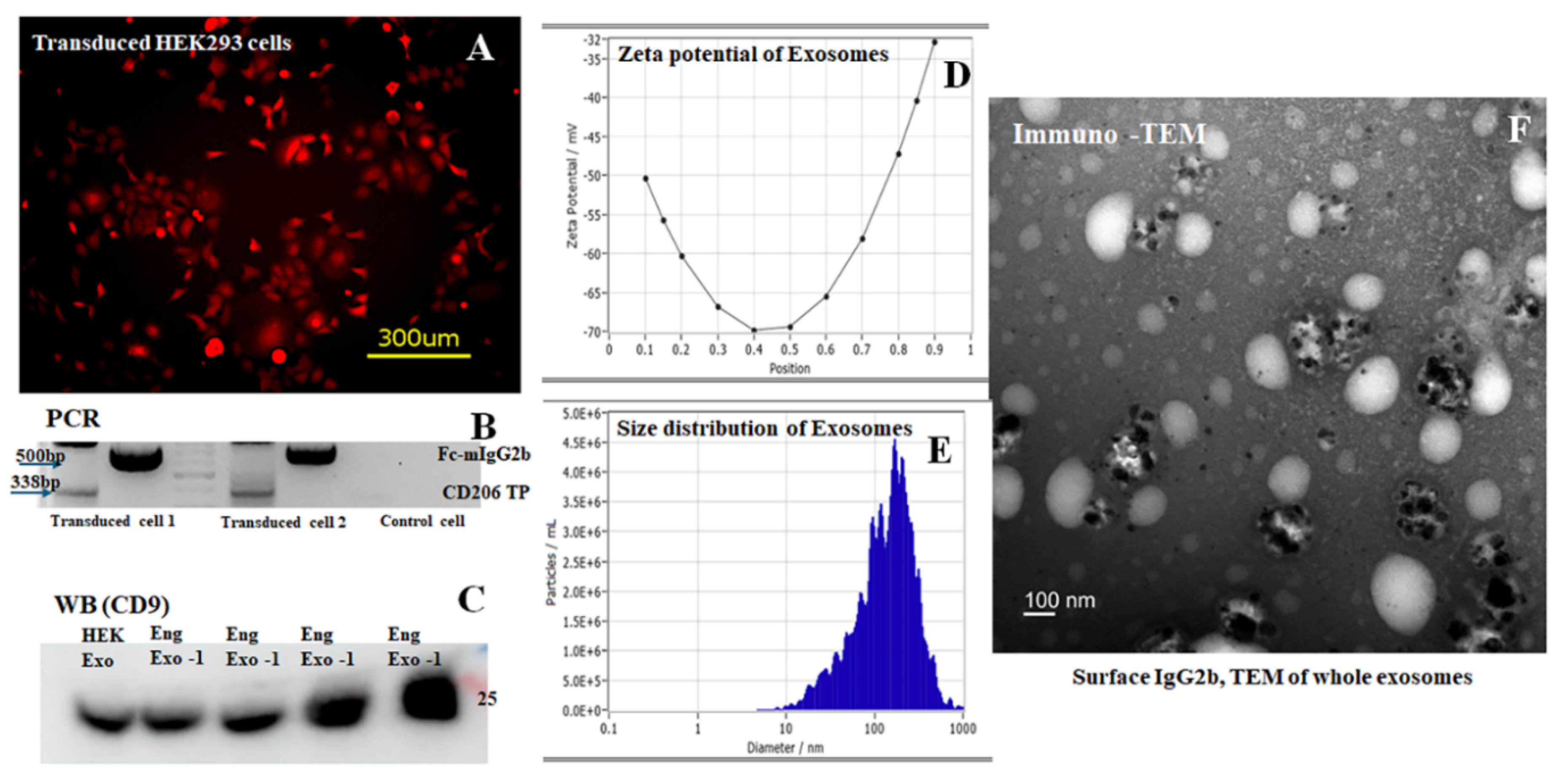 Preprints 204886 g001
