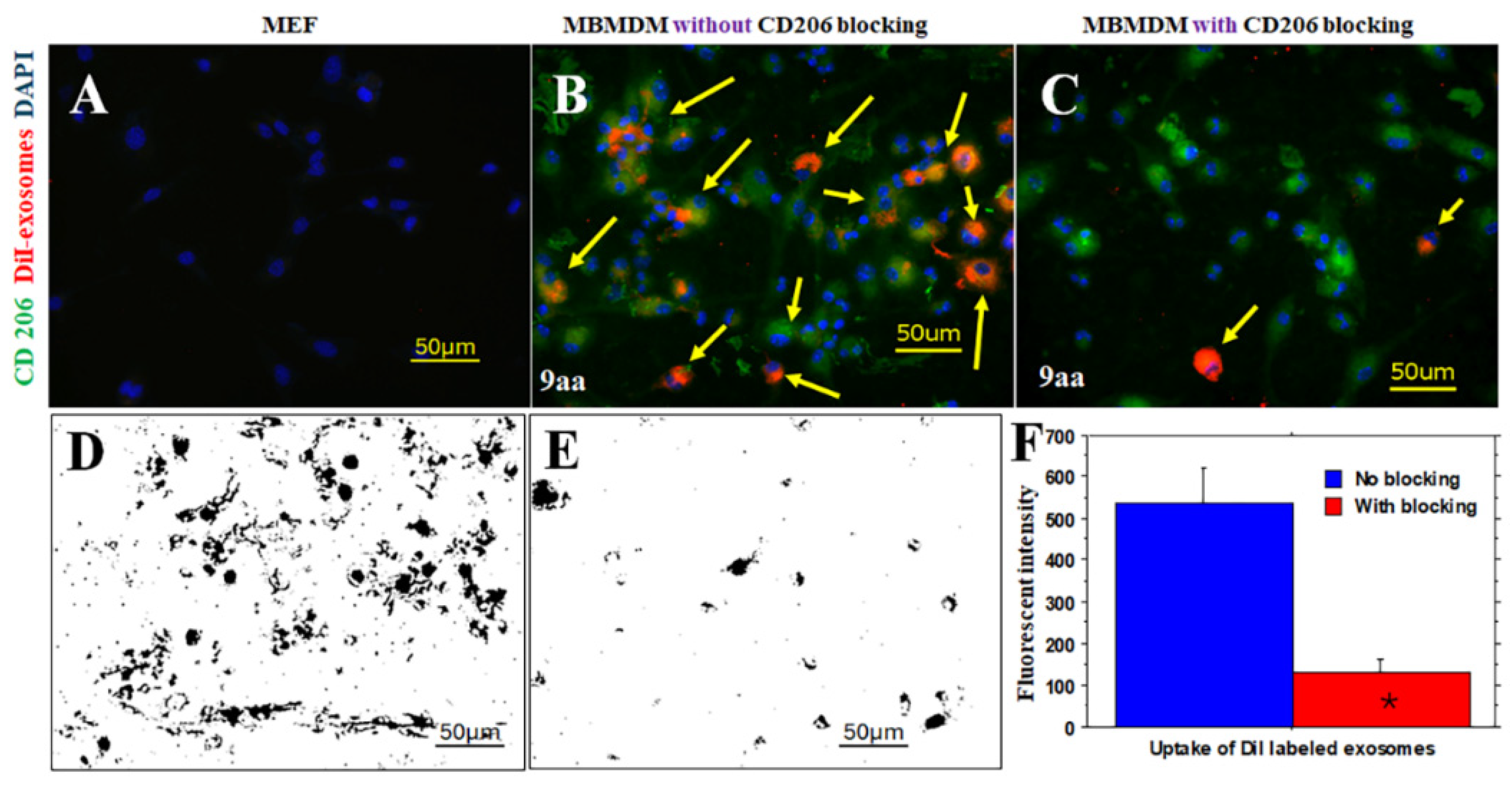 Preprints 204886 g002