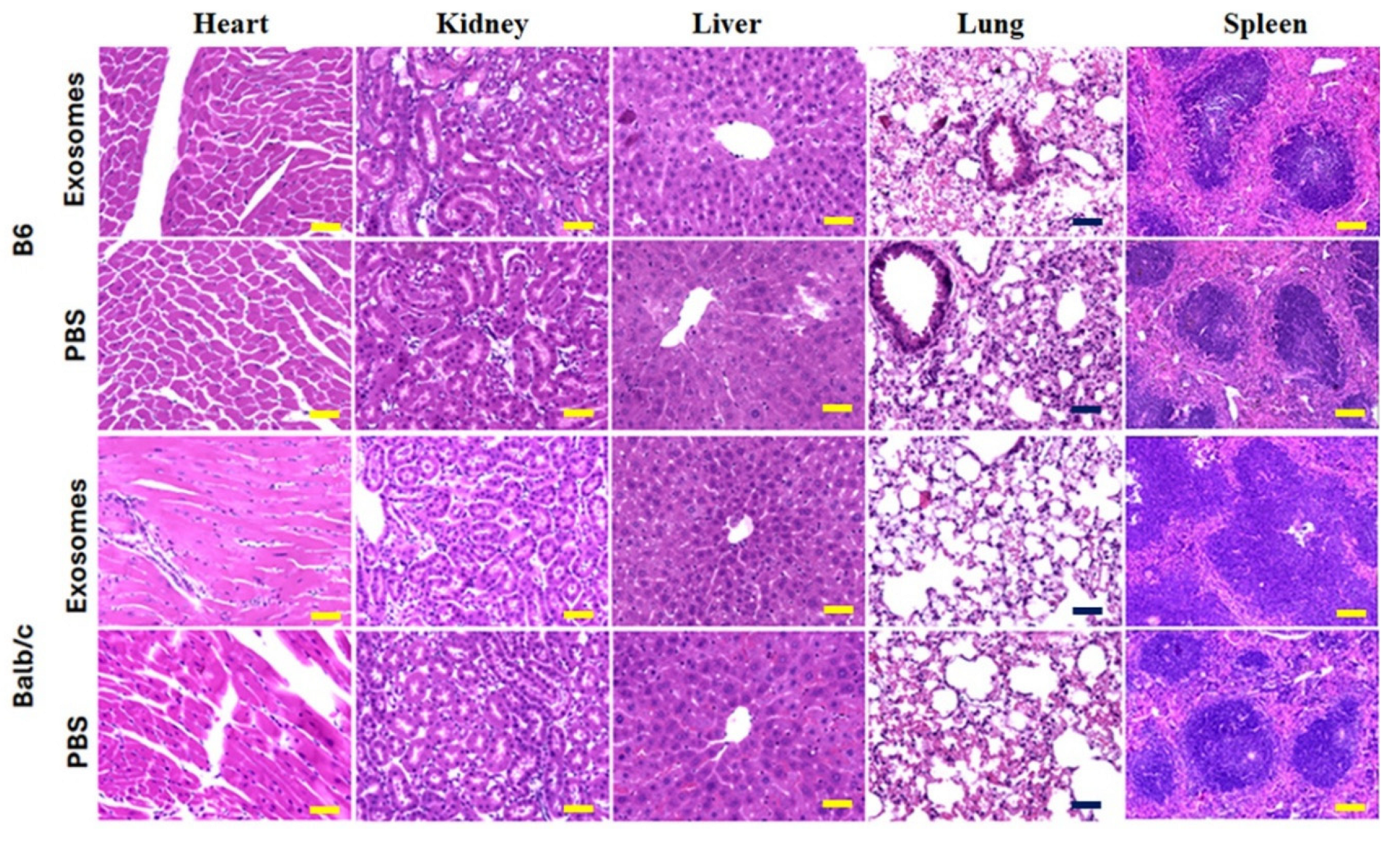 Preprints 204886 g008
