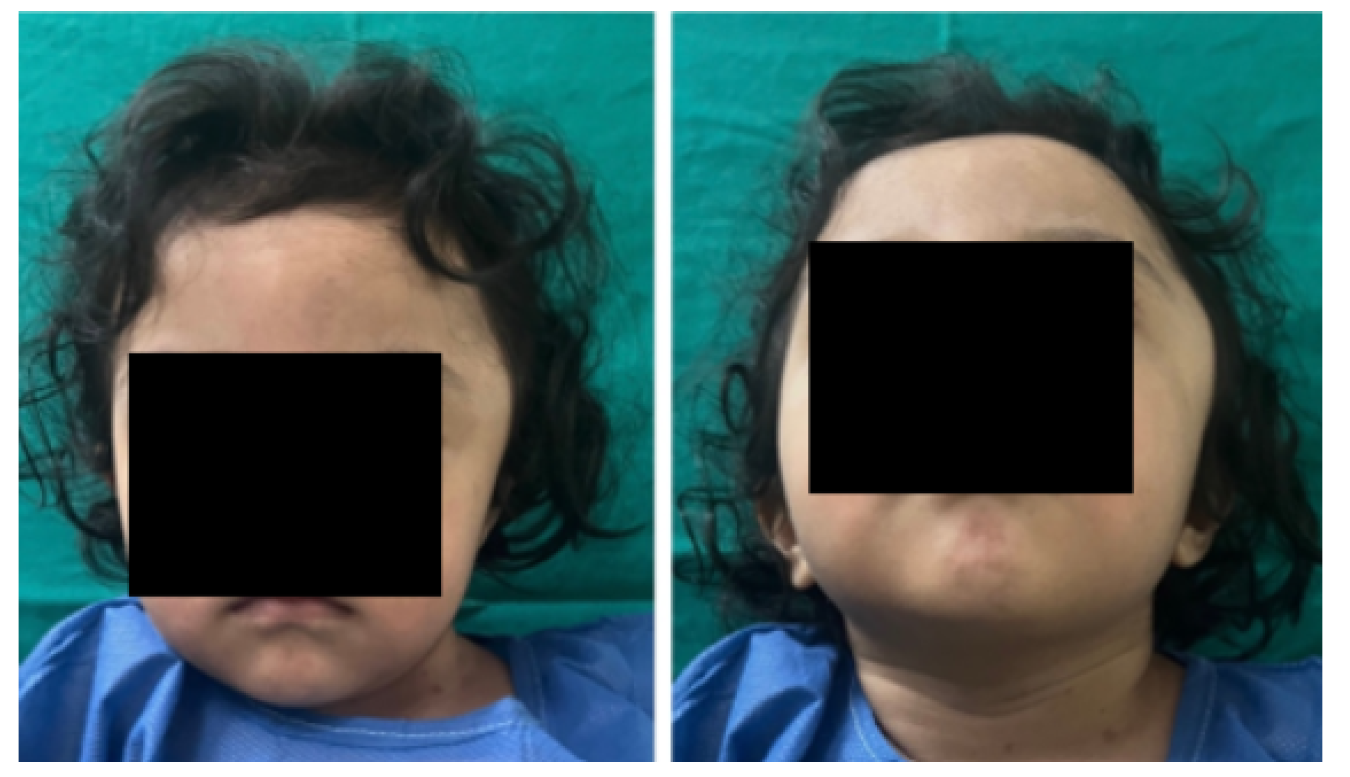 Preprints 168065 g001