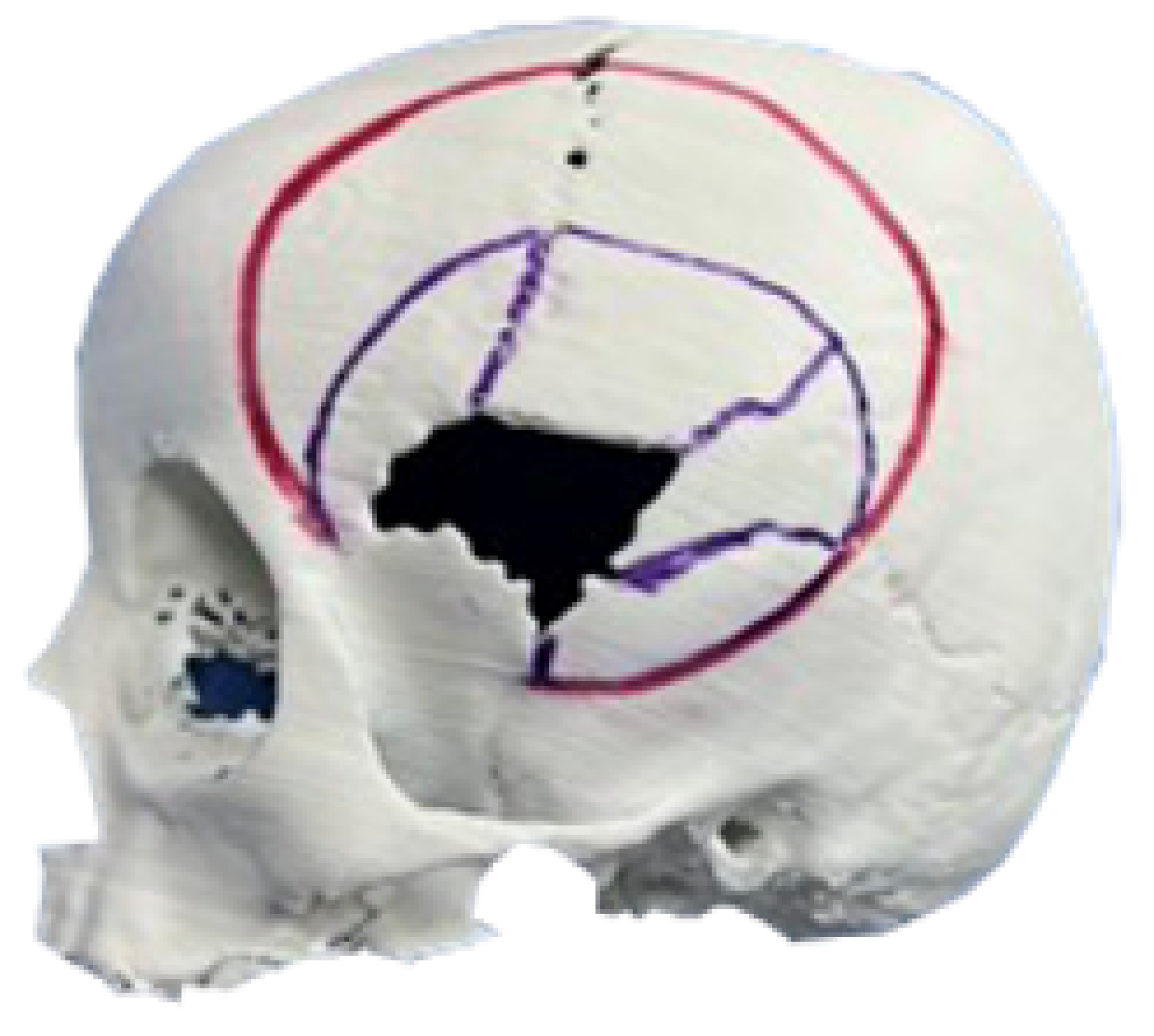 Preprints 168065 g006