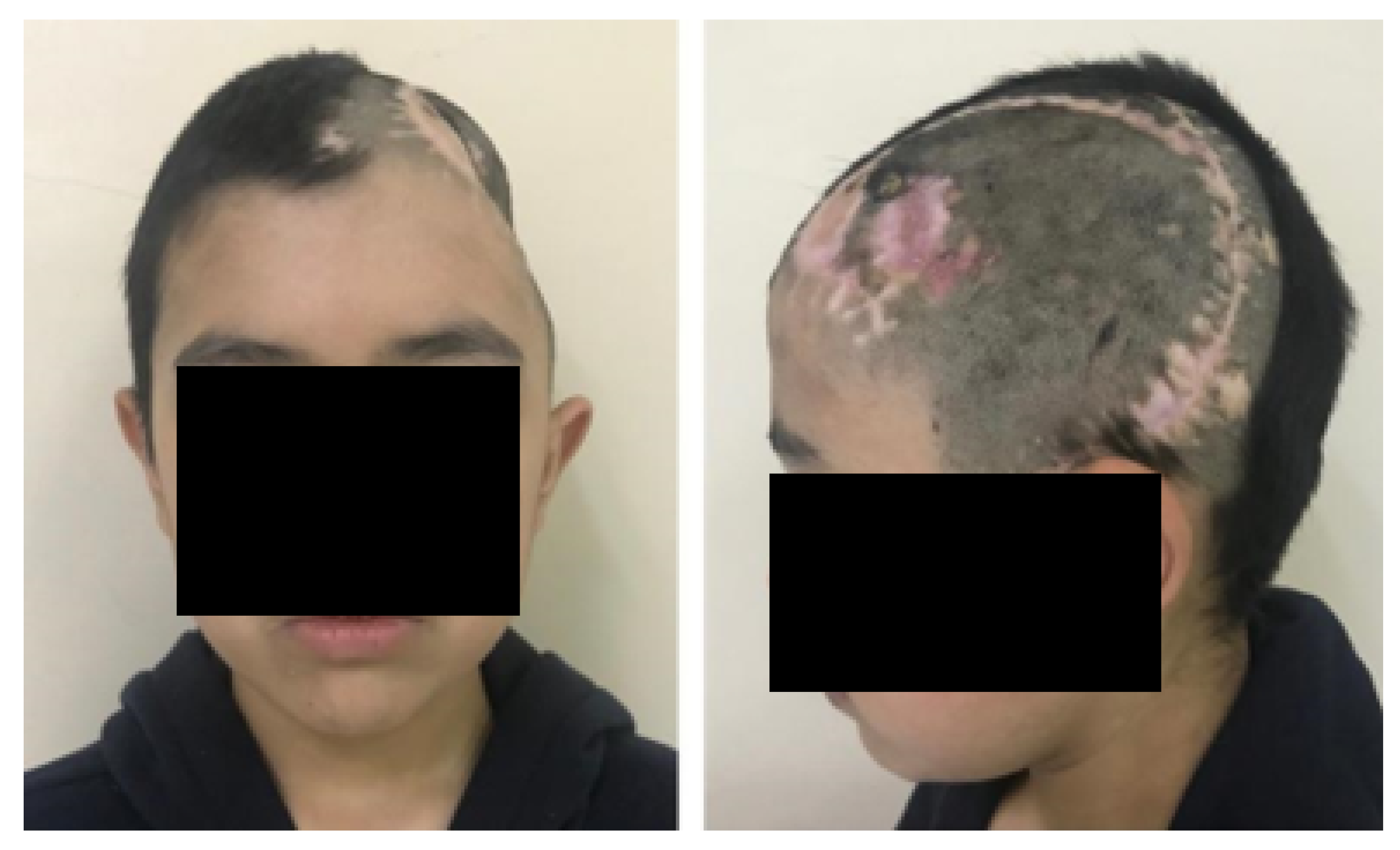 Preprints 168065 g010