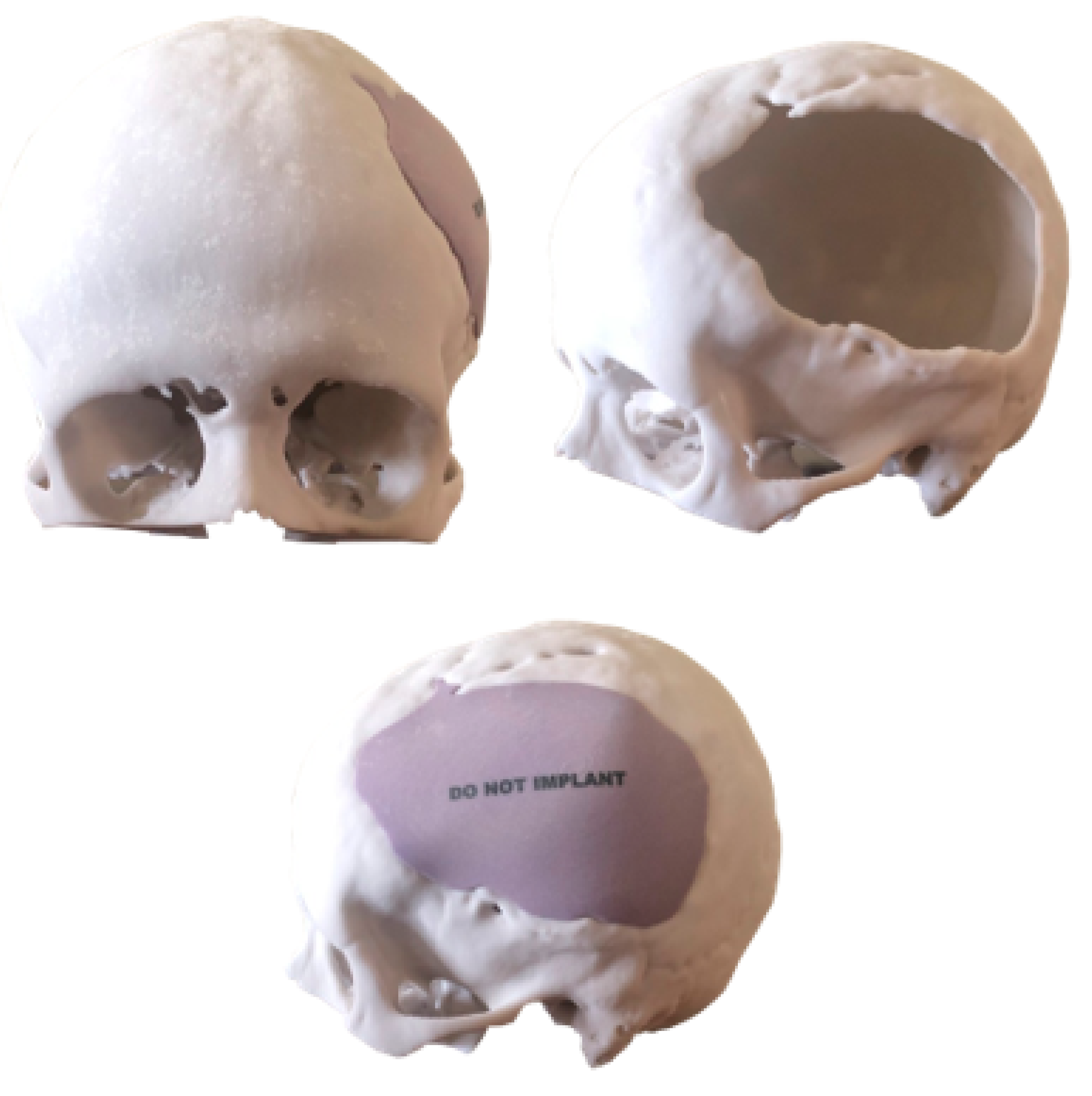 Preprints 168065 g013