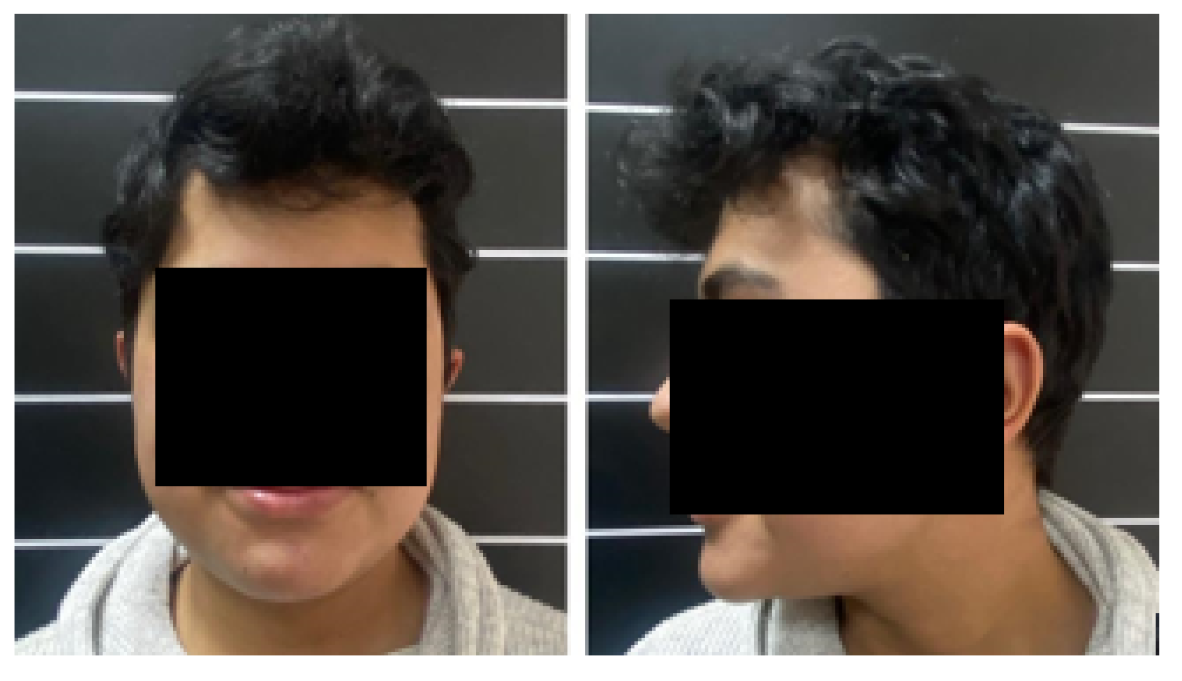 Preprints 168065 g016