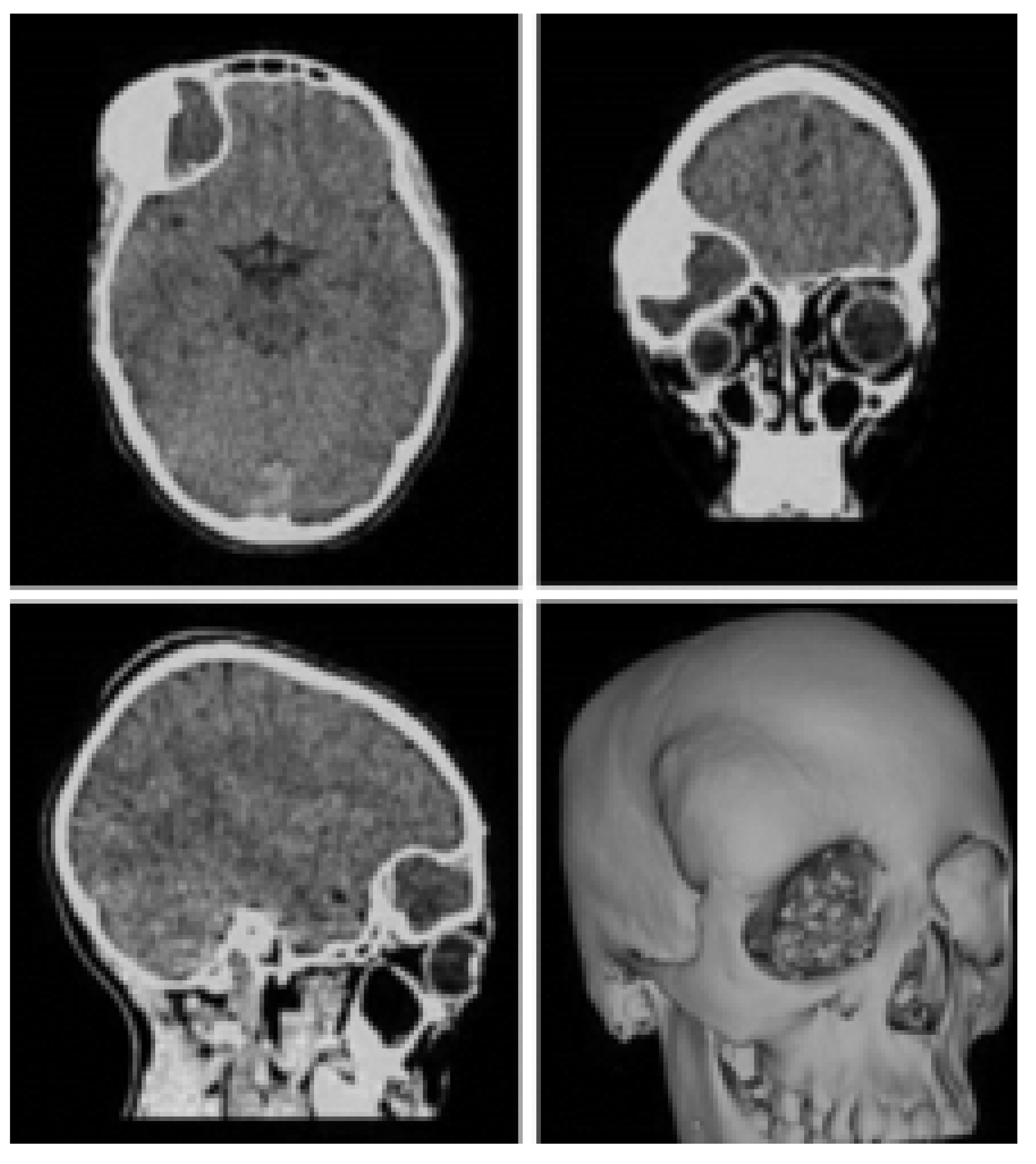 Preprints 168065 g019