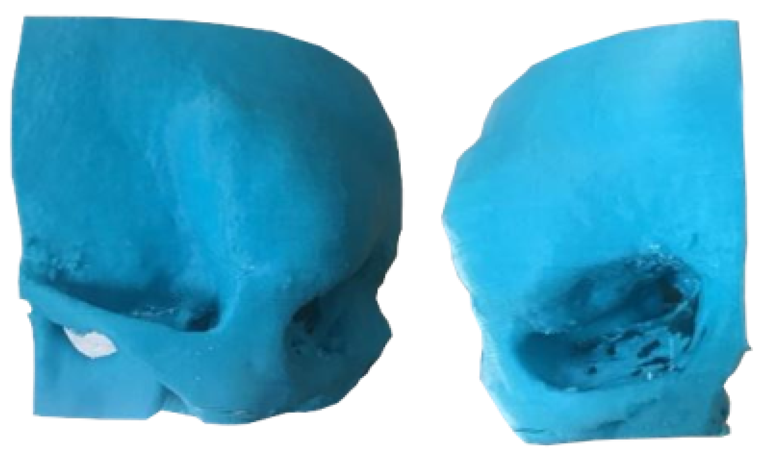 Preprints 168065 g020