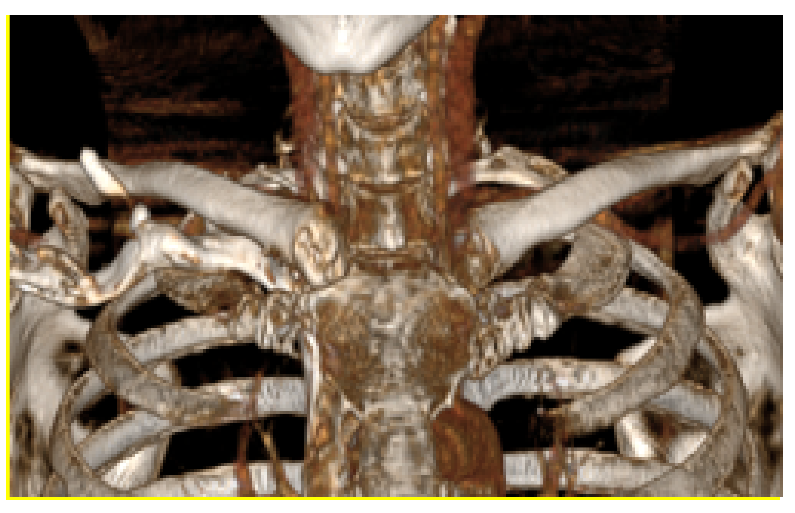 Preprints 168065 g024