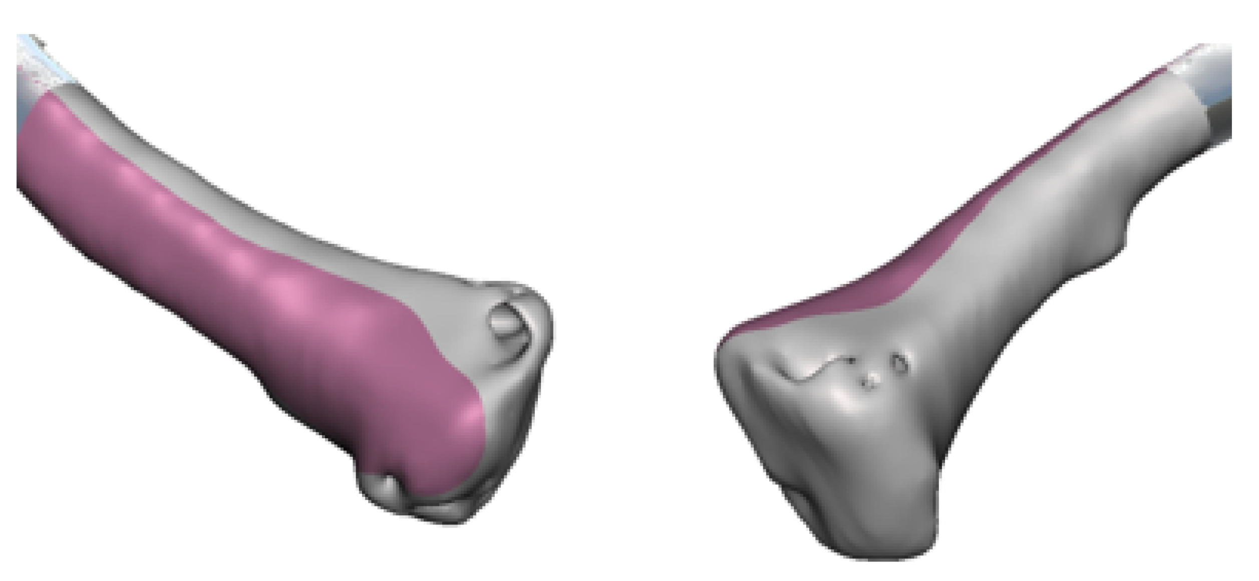 Preprints 168065 g026