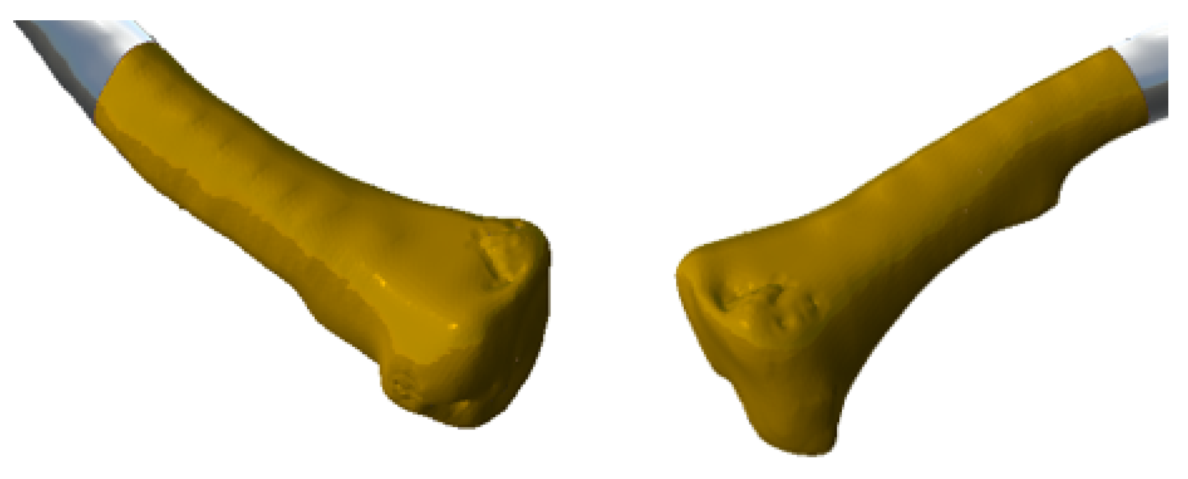 Preprints 168065 g027