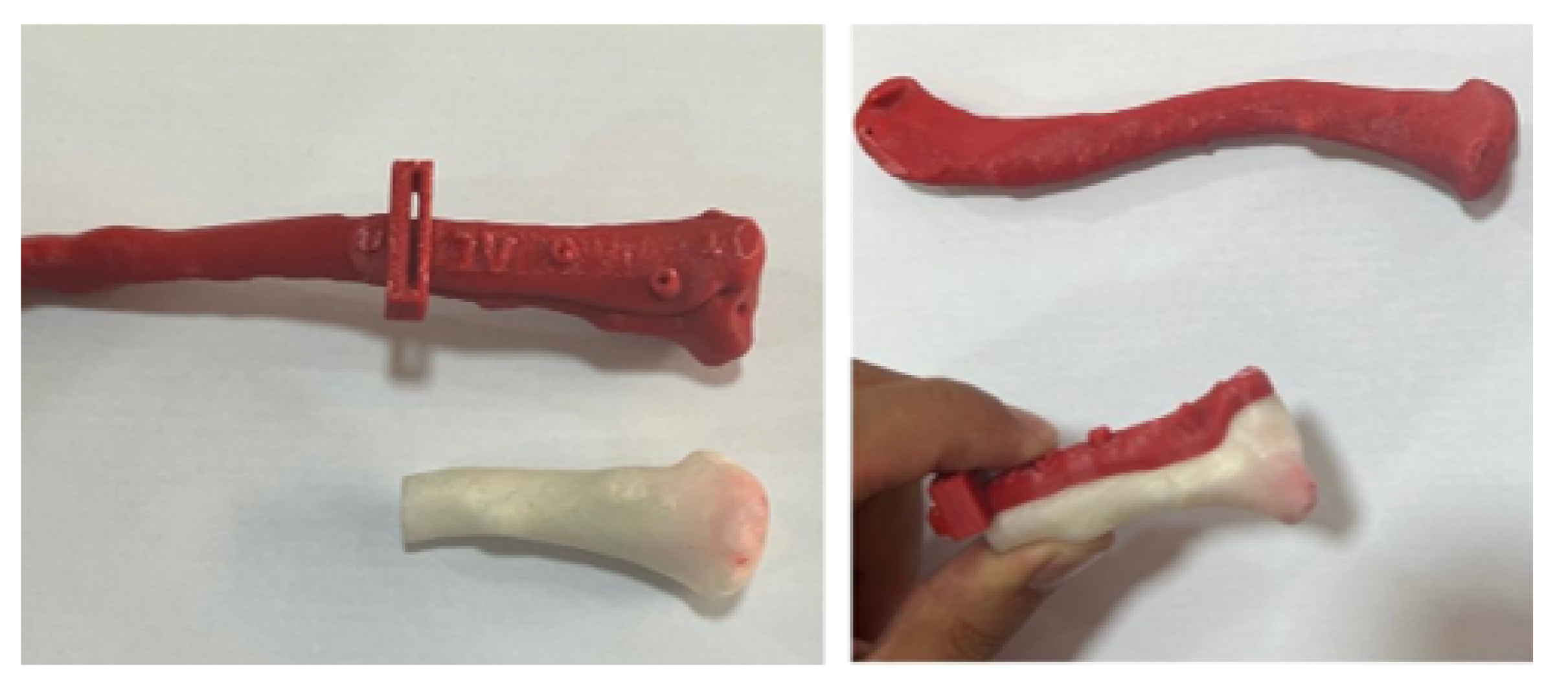 Preprints 168065 g028