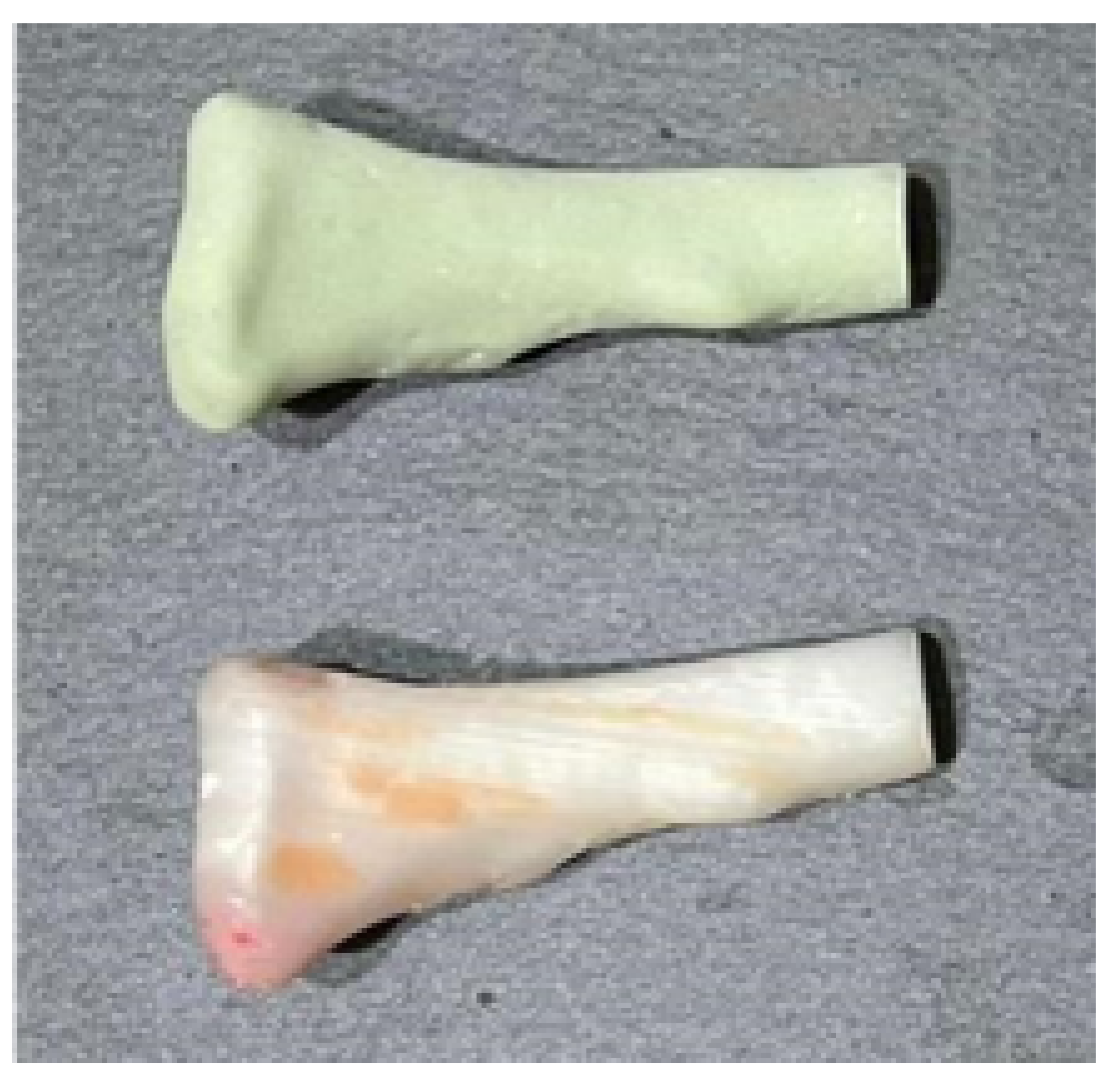 Preprints 168065 g029