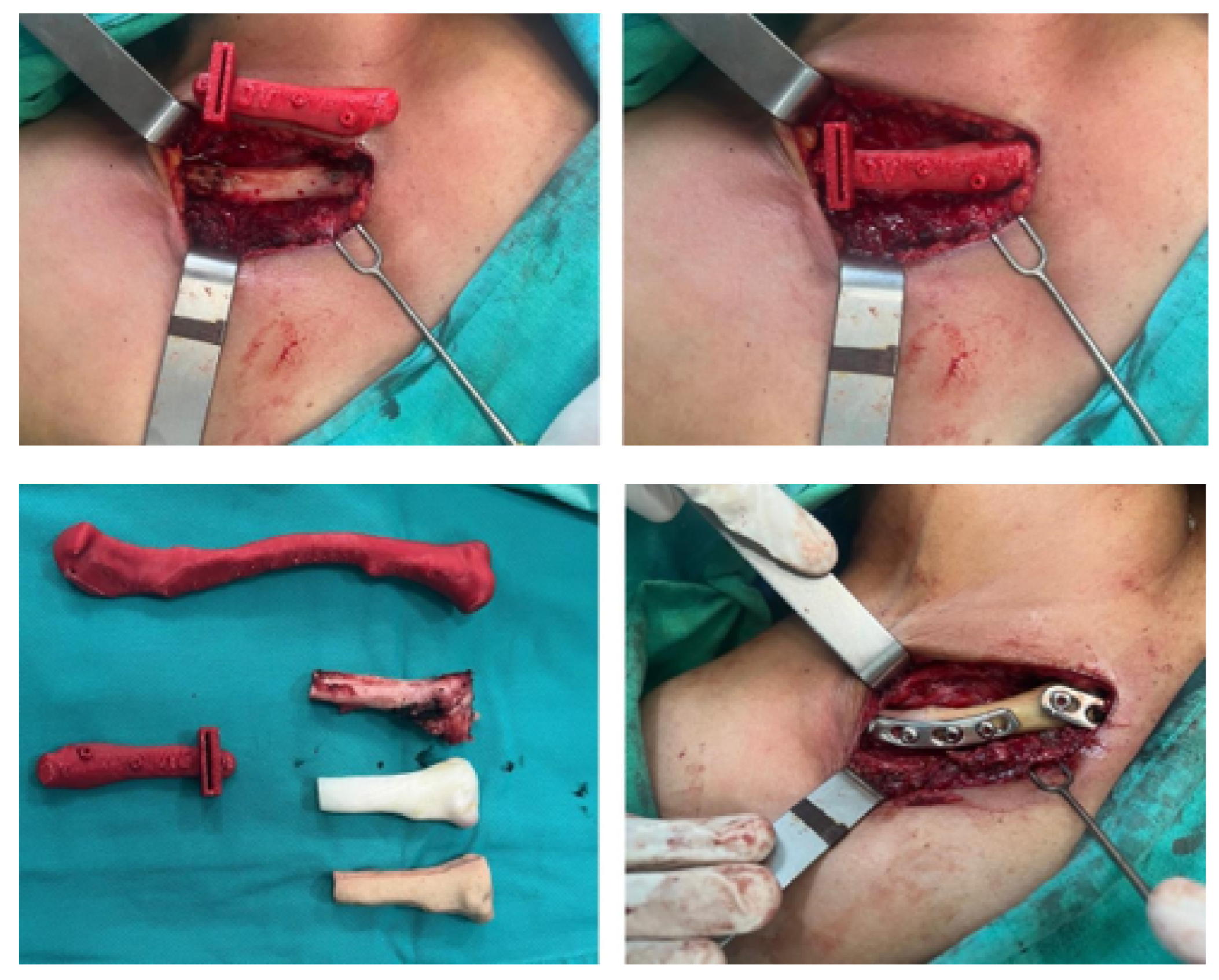 Preprints 168065 g030