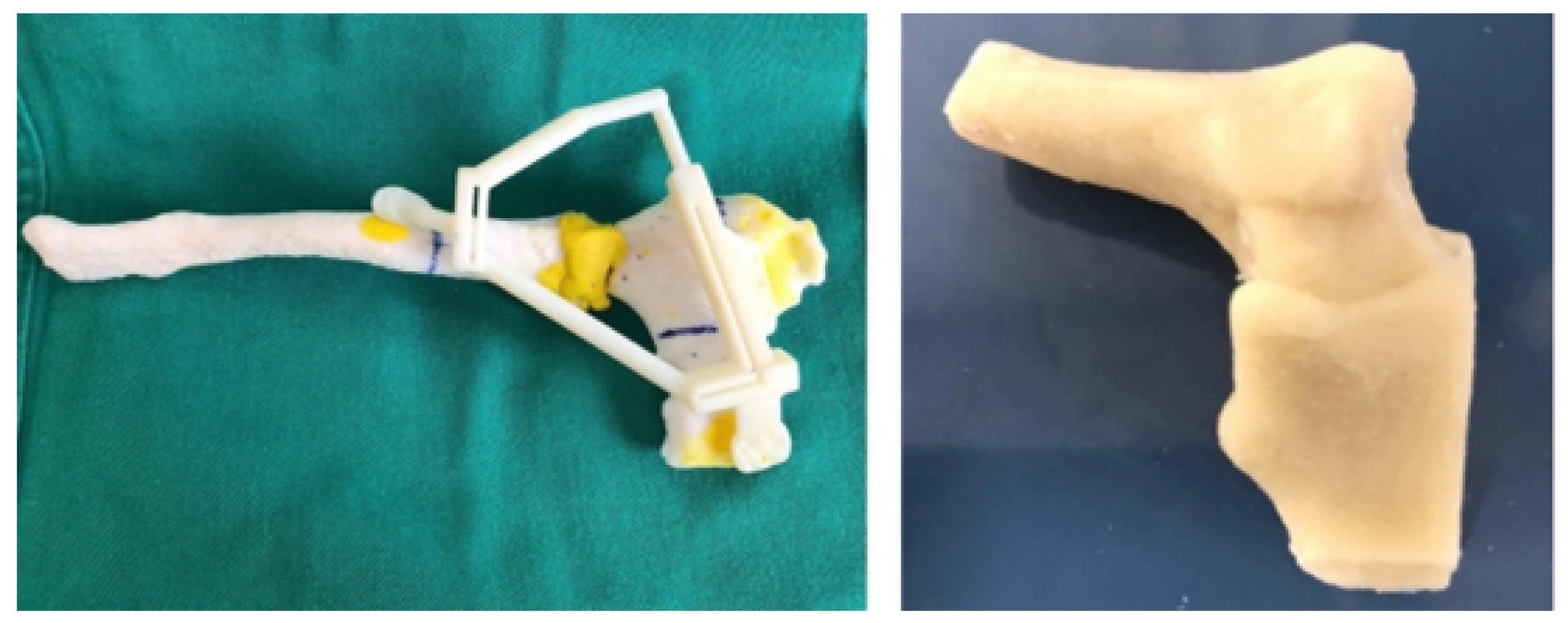 Preprints 168065 g040