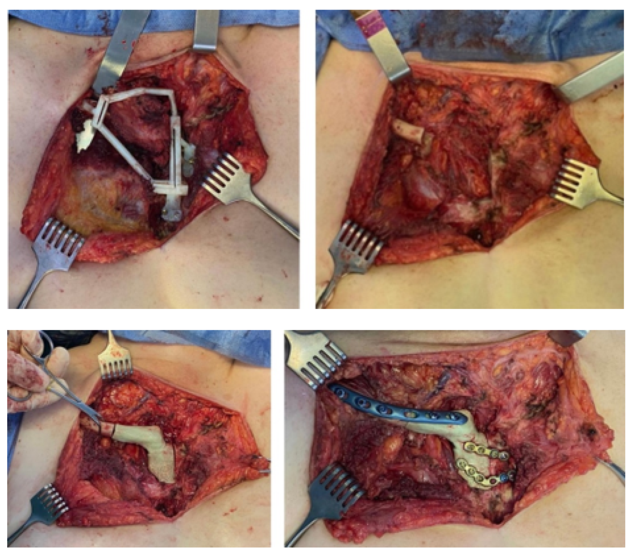 Preprints 168065 g041