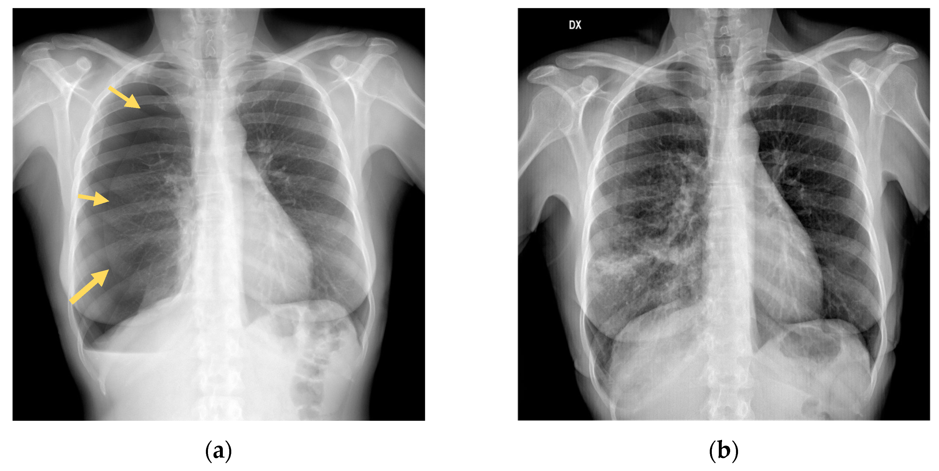 Preprints 100122 g001