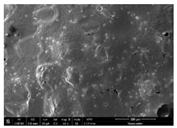 Preprints 171007 i011