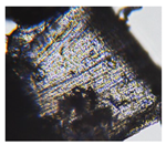 Preprints 171007 i014