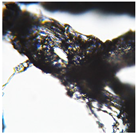 Preprints 171007 i016