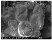 Preprints 171007 i021