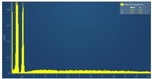 Preprints 171007 i025