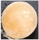 Preprints 171007 i072