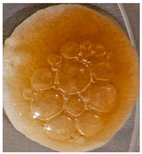 Preprints 171007 i076