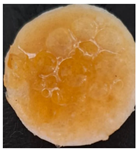 Preprints 171007 i078